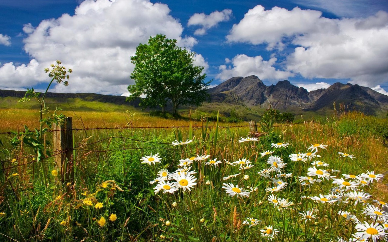 Laden Sie das Landschaft, Fotografie-Bild kostenlos auf Ihren PC-Desktop herunter