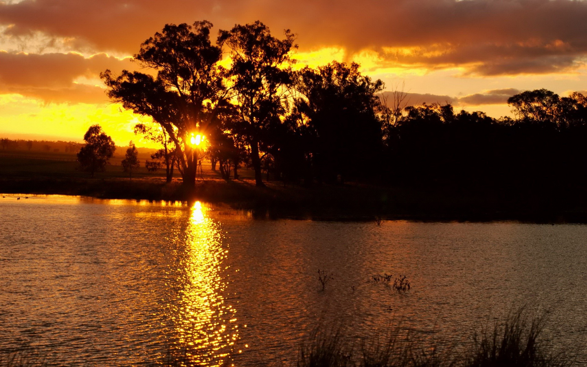 Descarga gratis la imagen Tierra/naturaleza, Atardecer en el escritorio de tu PC