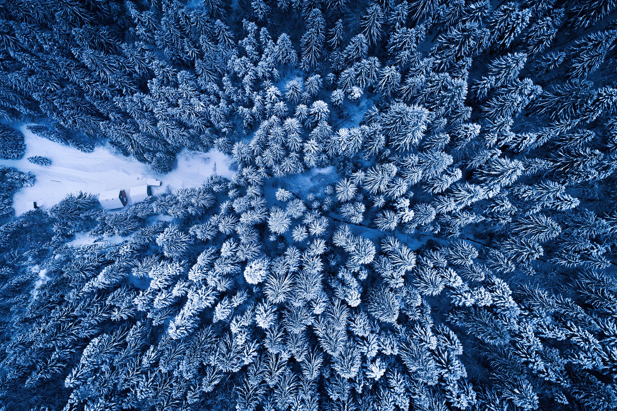 Download mobile wallpaper Winter, Forest, Photography, Aerial for free.