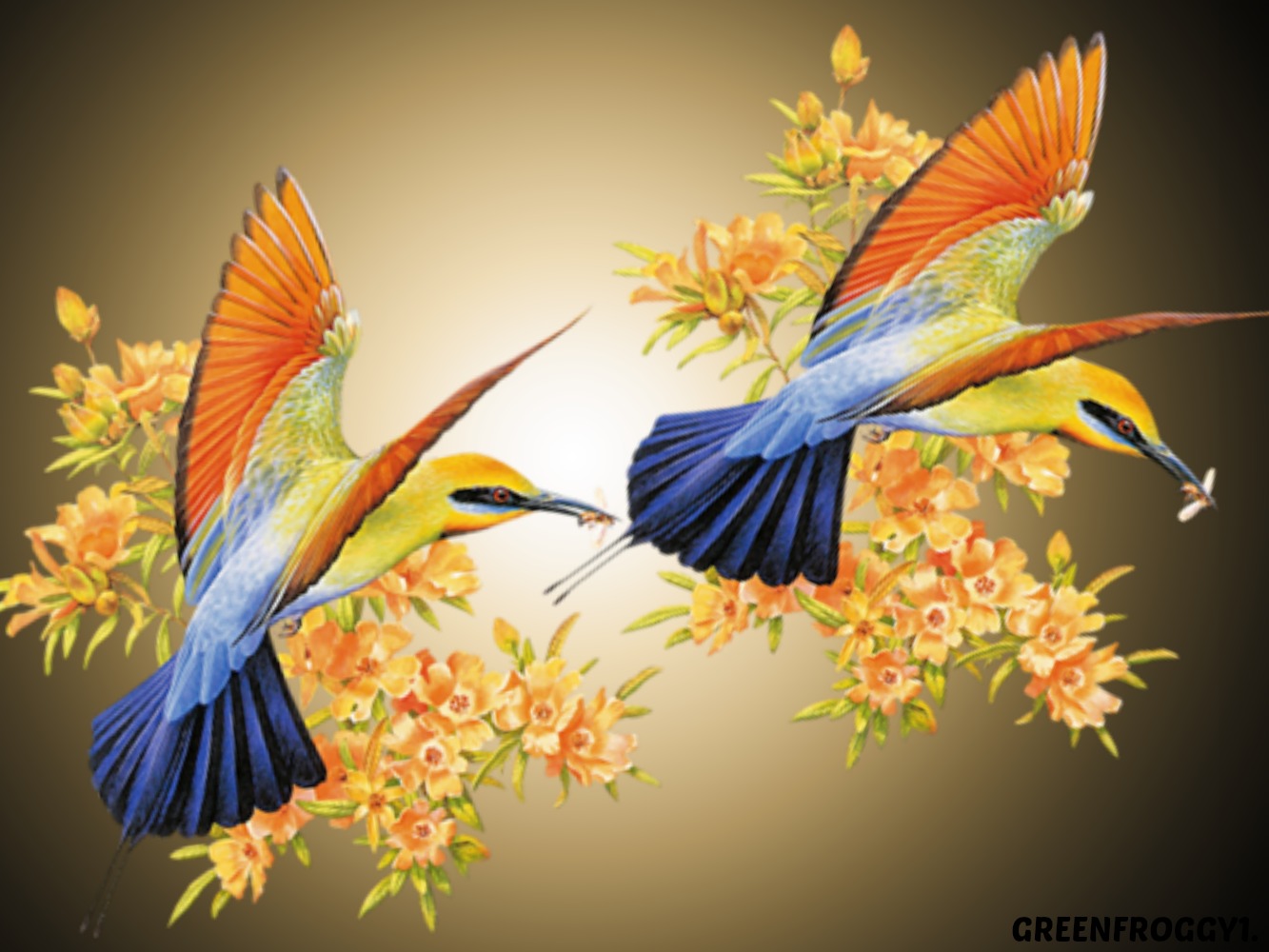 307302 baixar papel de parede animais, abelharuco, aves - protetores de tela e imagens gratuitamente