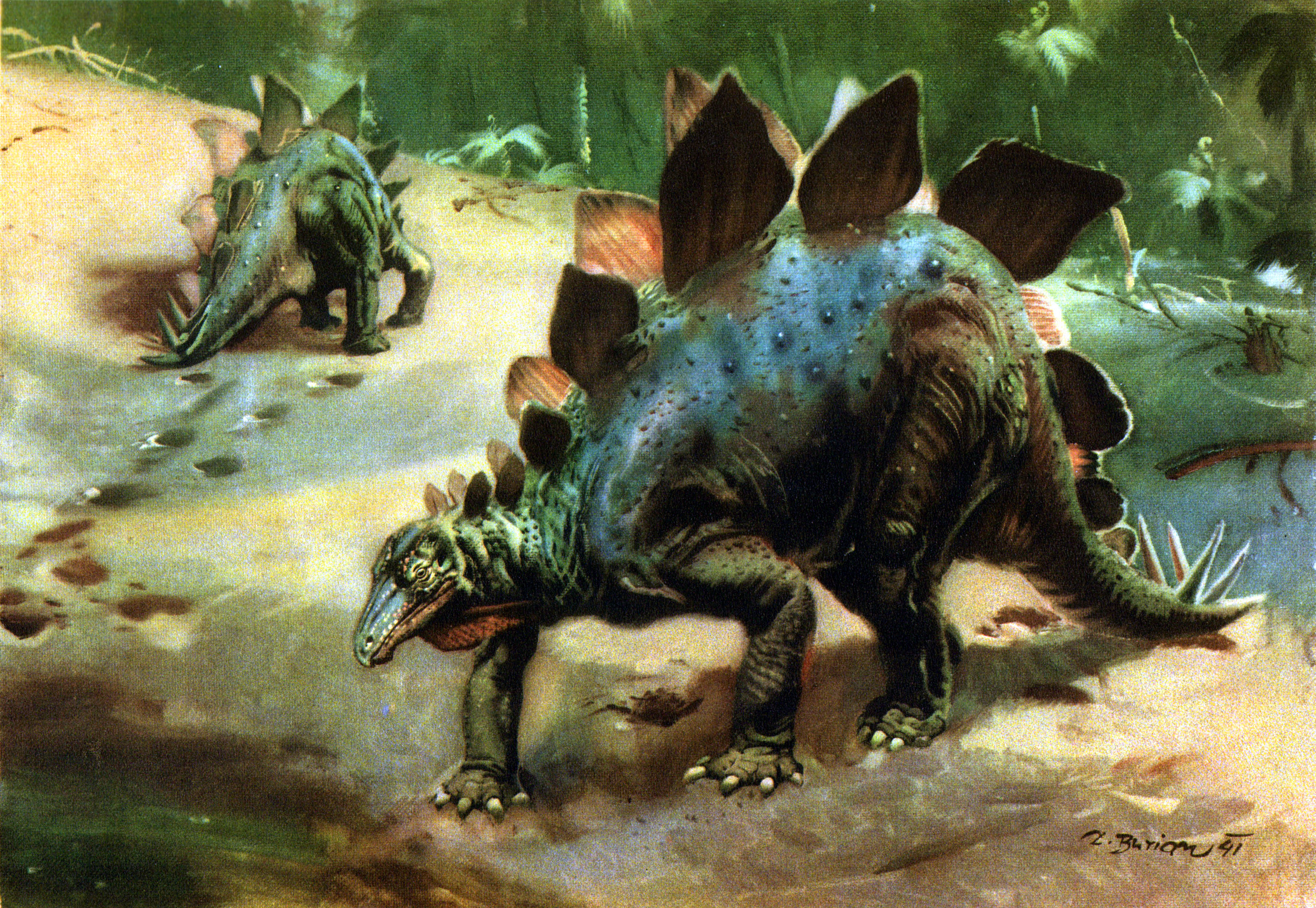 319660 Hintergrundbild herunterladen tiere, stegosaurus, dinosaurier - Bildschirmschoner und Bilder kostenlos