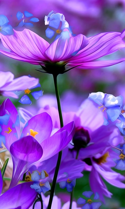無料モバイル壁紙宇宙, 花, 閉じる, ペインティング, 芸術的, クロッカス, 紫色の花をダウンロードします。