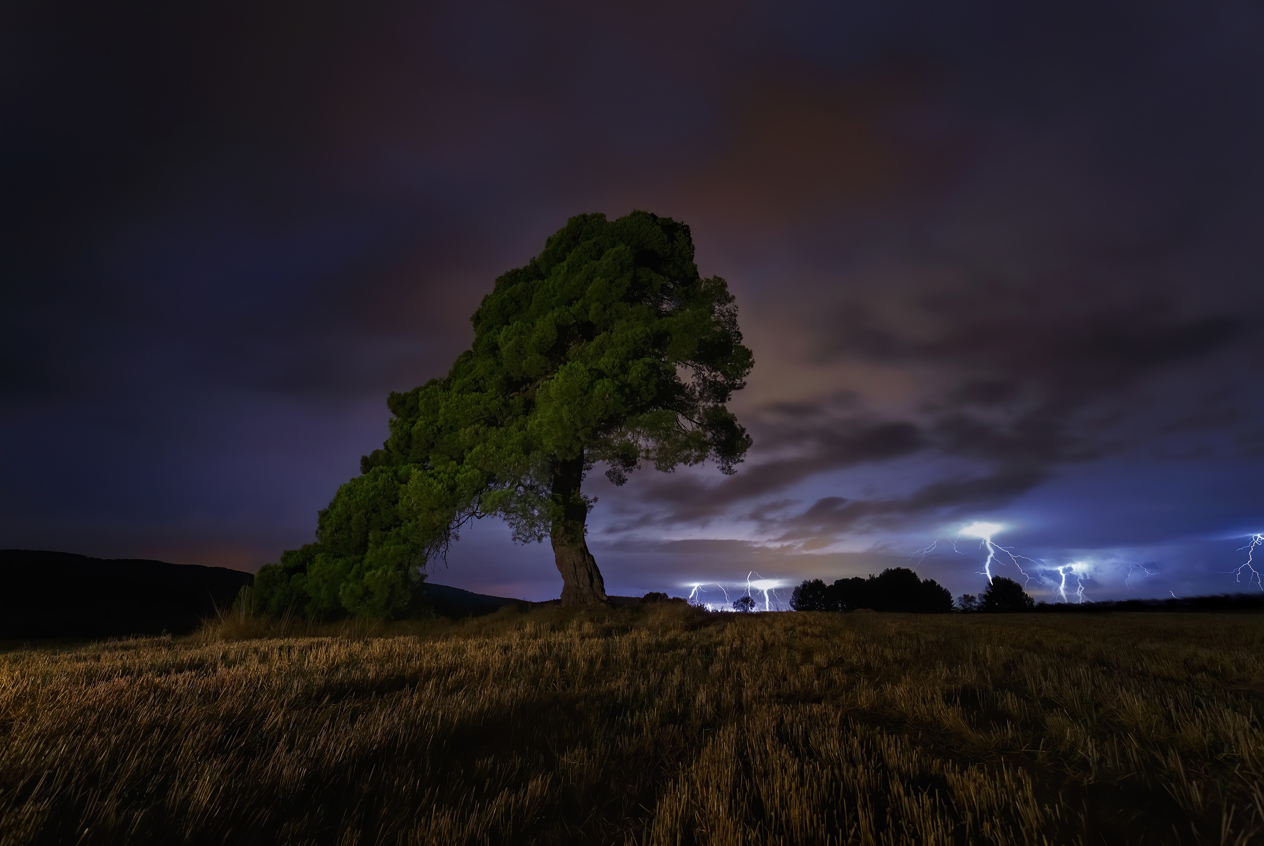 Handy-Wallpaper Natur, Blitz, Baum, Feld, Fotografie, Nacht kostenlos herunterladen.