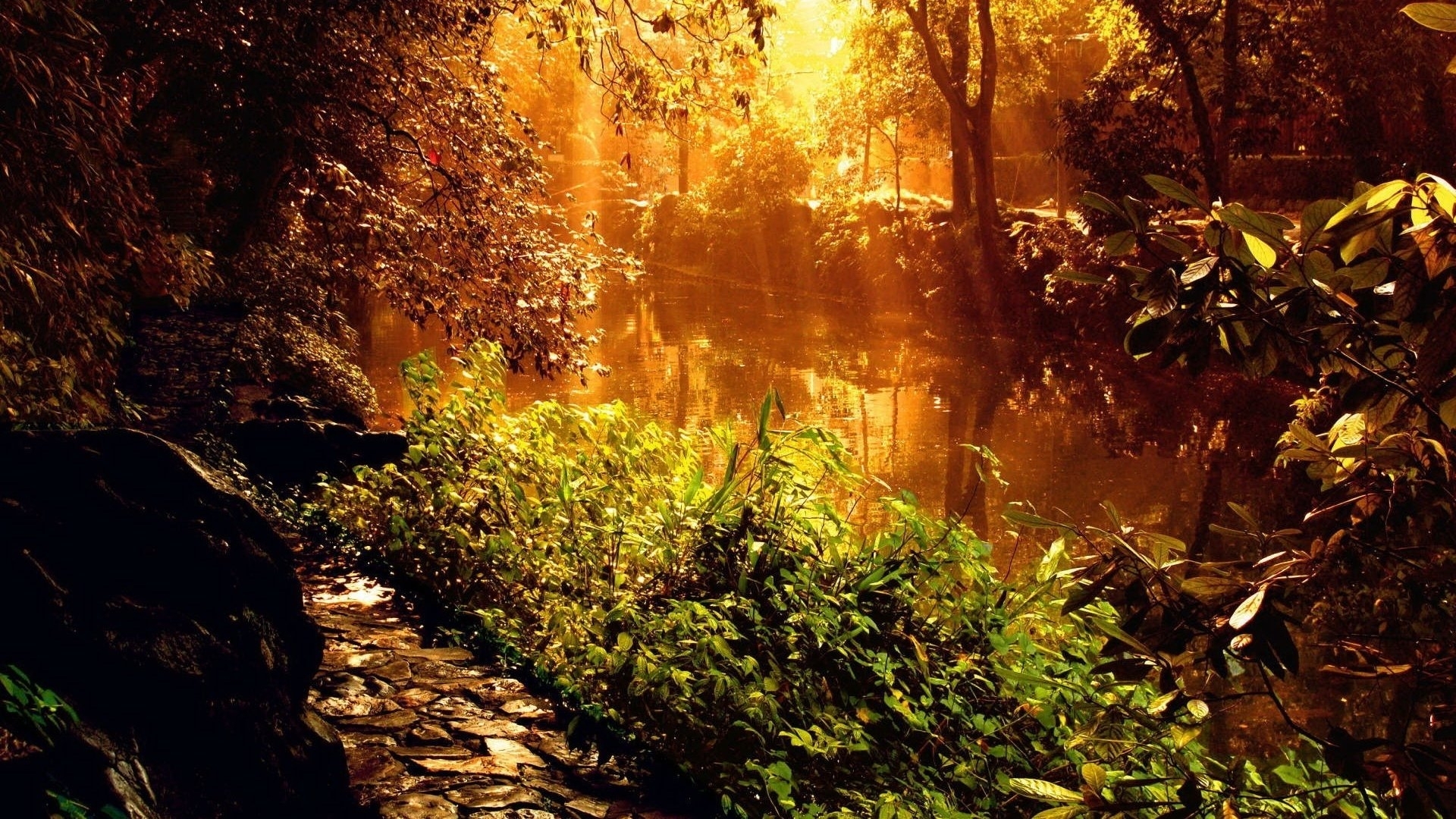 無料モバイル壁紙風景, 川, 木, 日没をダウンロードします。