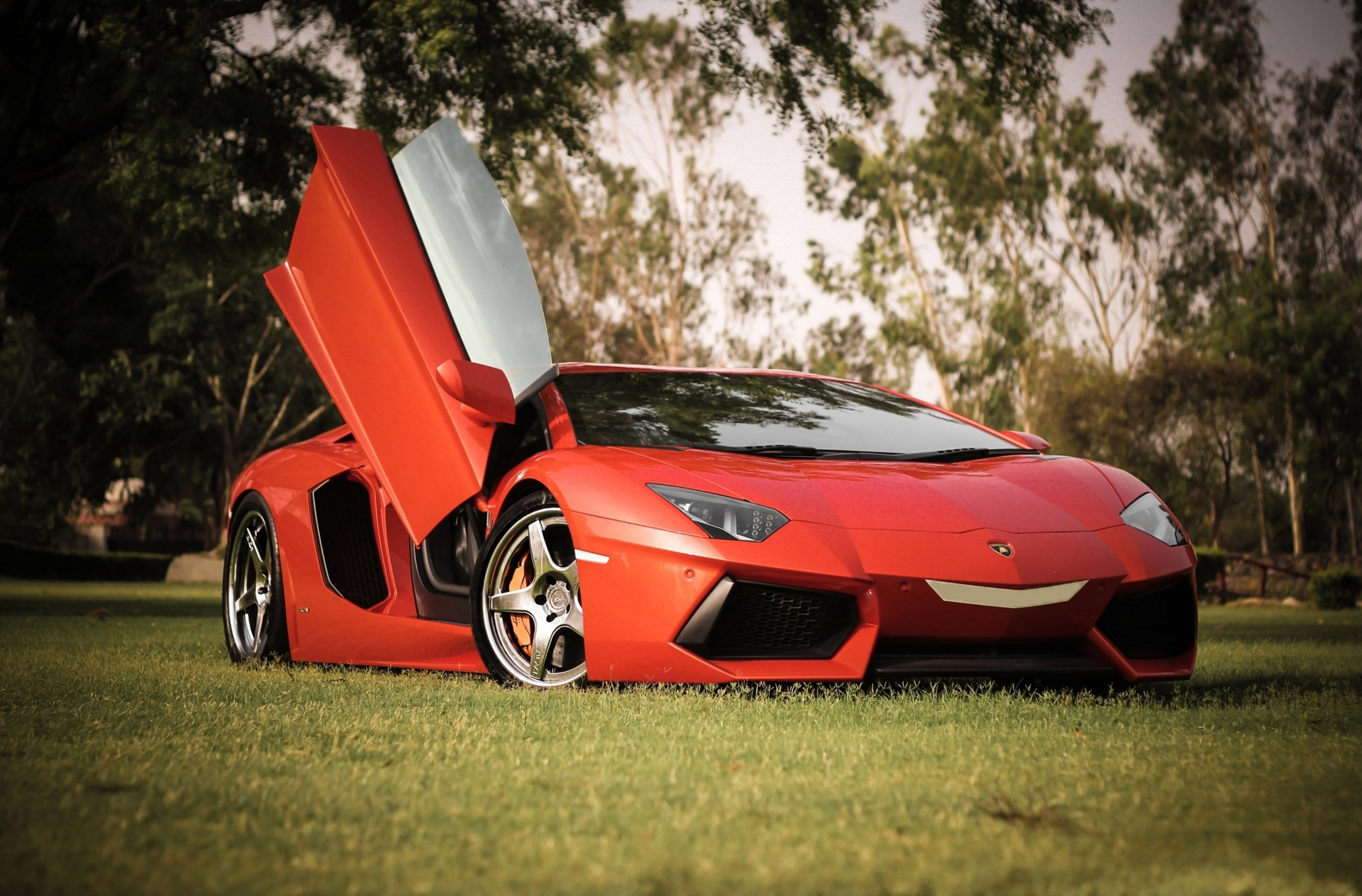 266158 Bildschirmschoner und Hintergrundbilder Lamborghini auf Ihrem Telefon. Laden Sie  Bilder kostenlos herunter