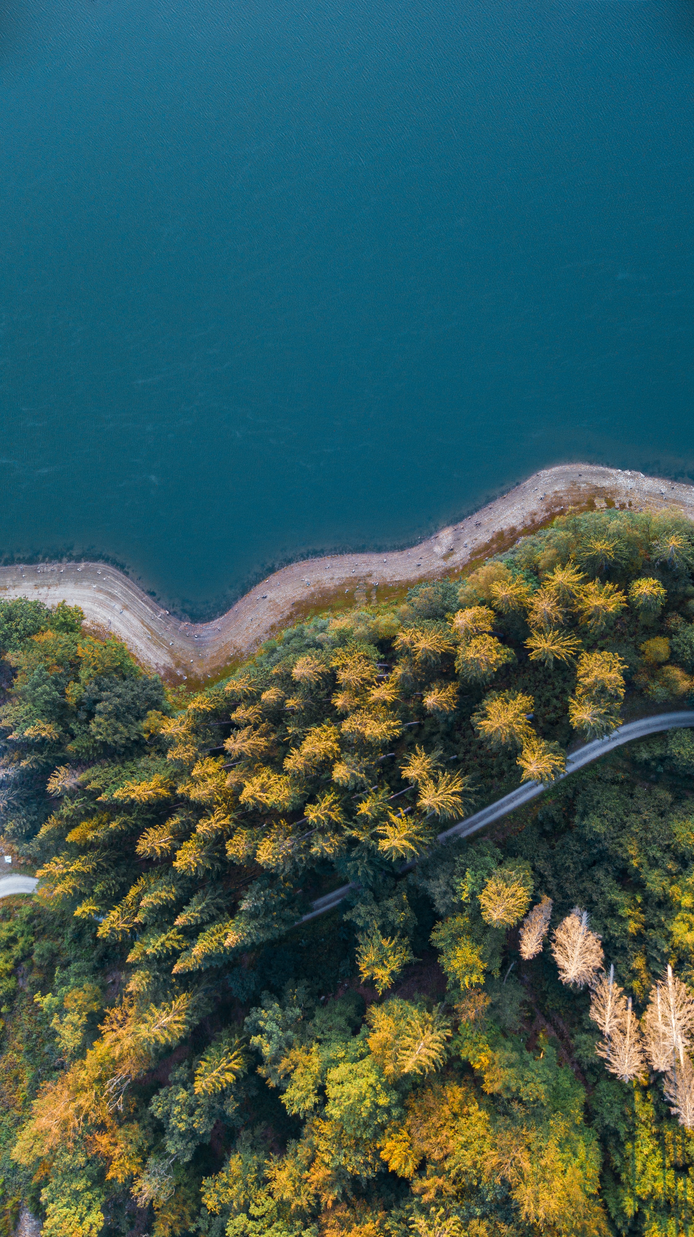 Download mobile wallpaper Bank, Shore, View From Above, Forest, Water, Nature for free.