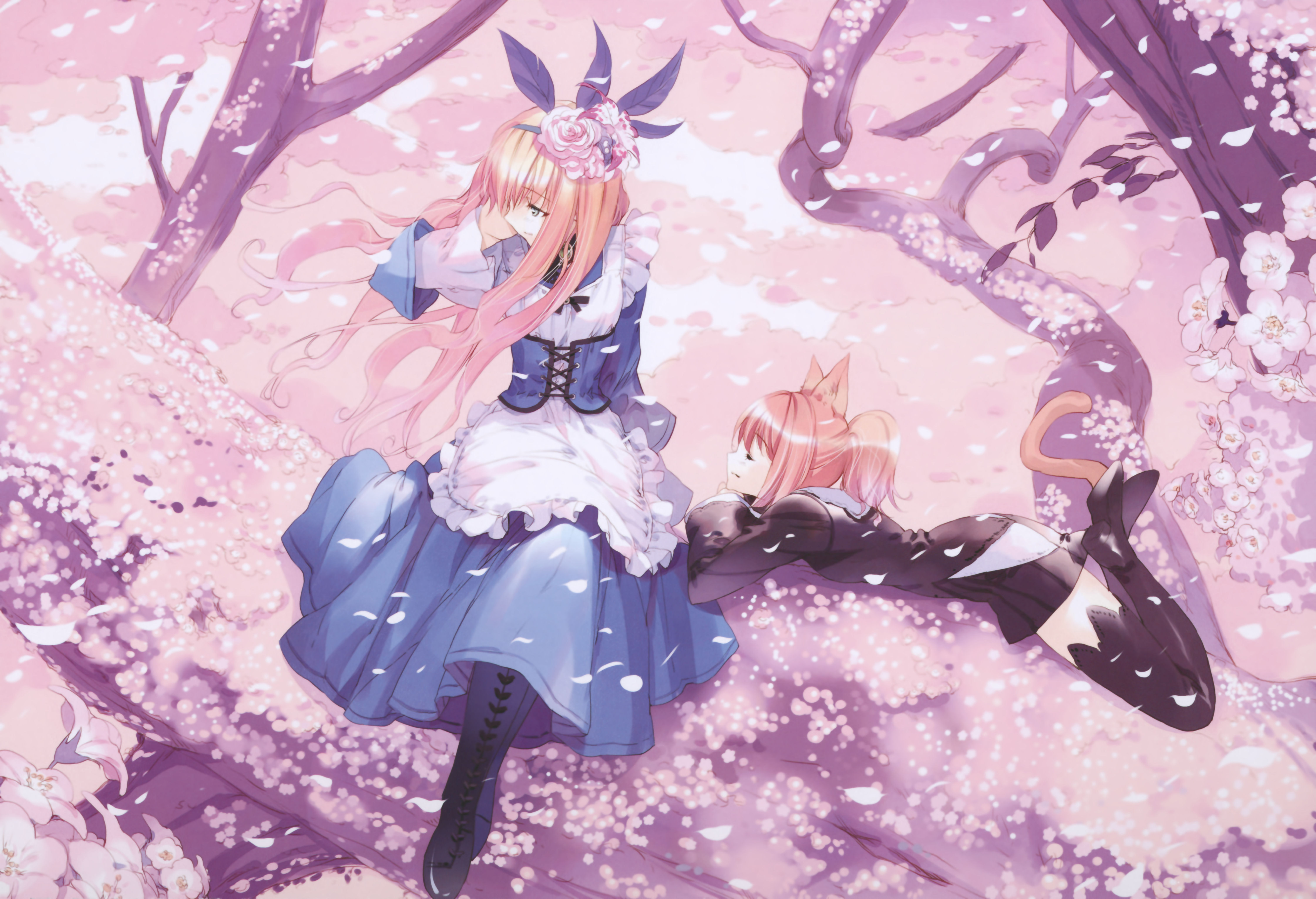 Free download wallpaper Anime, Alice In Wonderland on your PC desktop