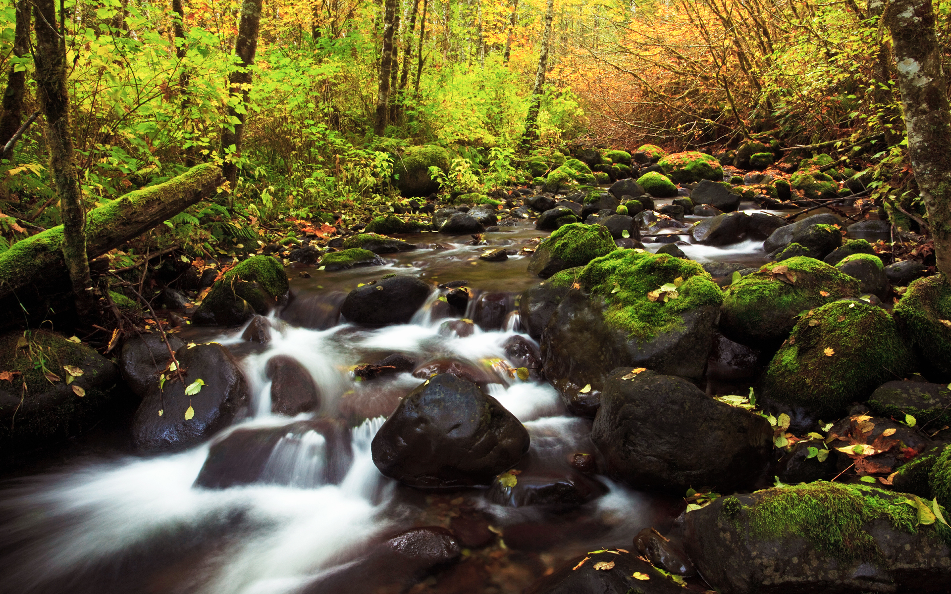 Free download wallpaper Landscape, Forest, Fall, Earth, Stream, River, Season, Scenic on your PC desktop