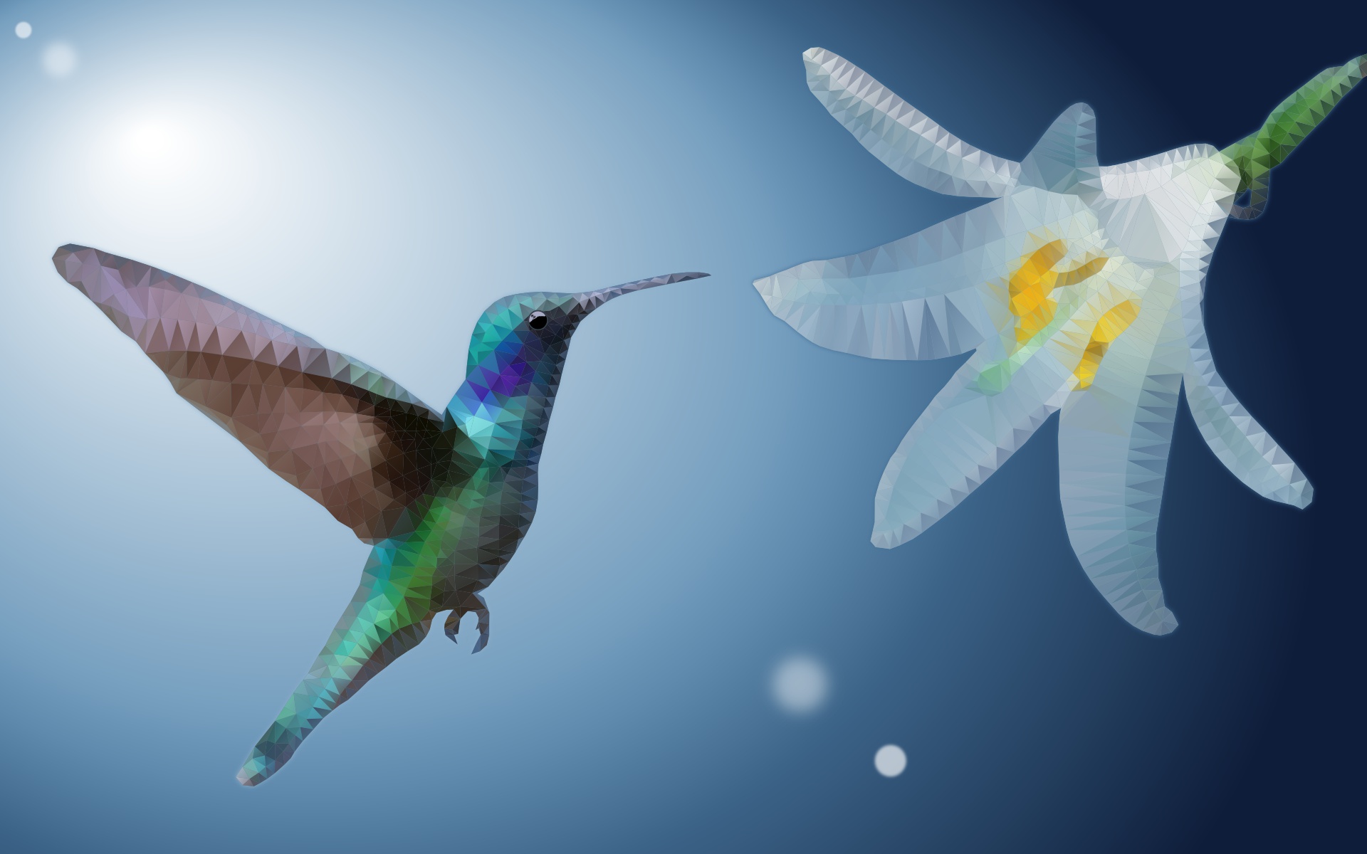 Download mobile wallpaper Birds, Animal, Hummingbird, Polyscape for free.