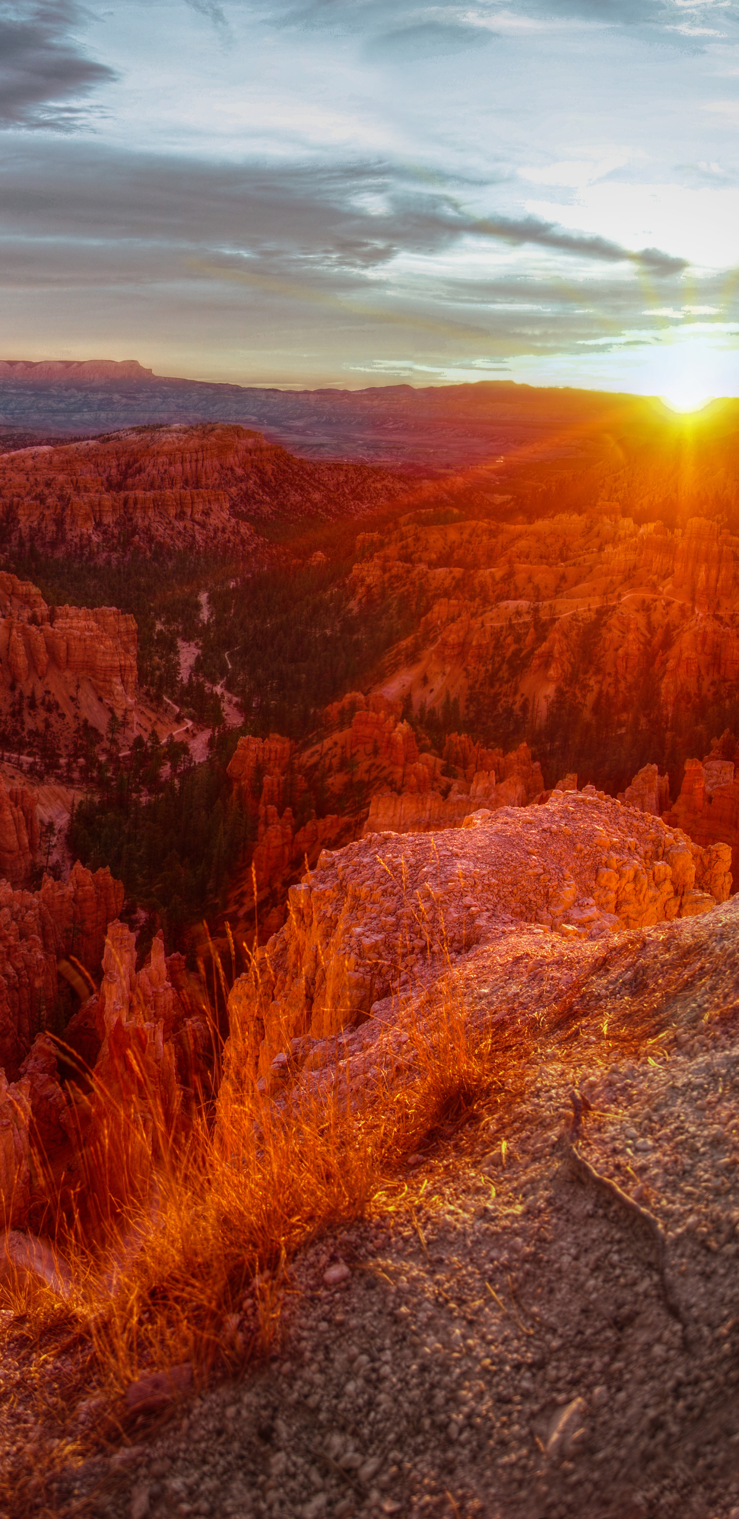 Téléchargez des papiers peints mobile Canyon, Lever Du Soleil, Parc National, Terre/nature, Lever De Soleil, Parc National De Bryce Canyon gratuitement.
