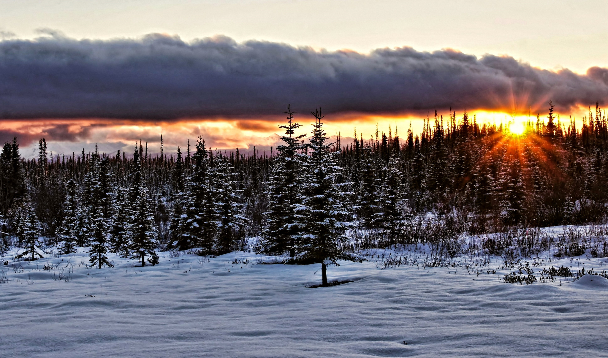 Скачать картинку Зима, Природа, Облака, Снег, Лес, Аляска, Солнечный Луч, Земля/природа, Закат Солнца в телефон бесплатно.