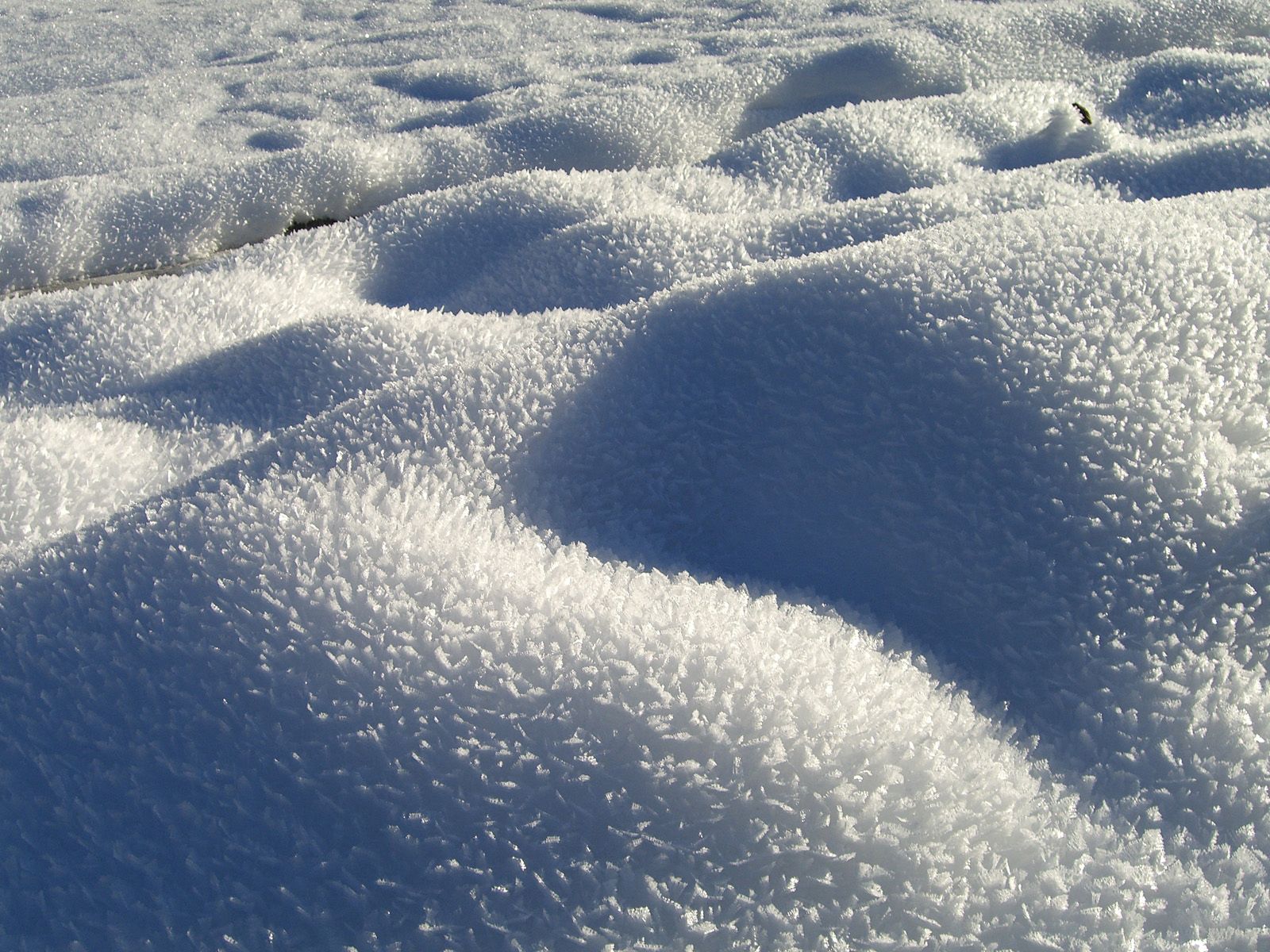 Baixe gratuitamente a imagem Inverno, Natureza, Neve, Deriva, Drifts, Espinhos na área de trabalho do seu PC