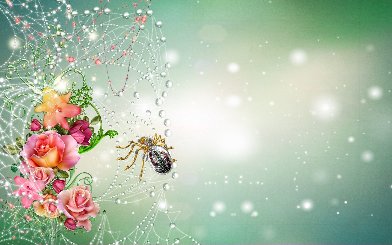 Free download wallpaper Flower, Animal, Dew, Spider, Spider Web on your PC desktop