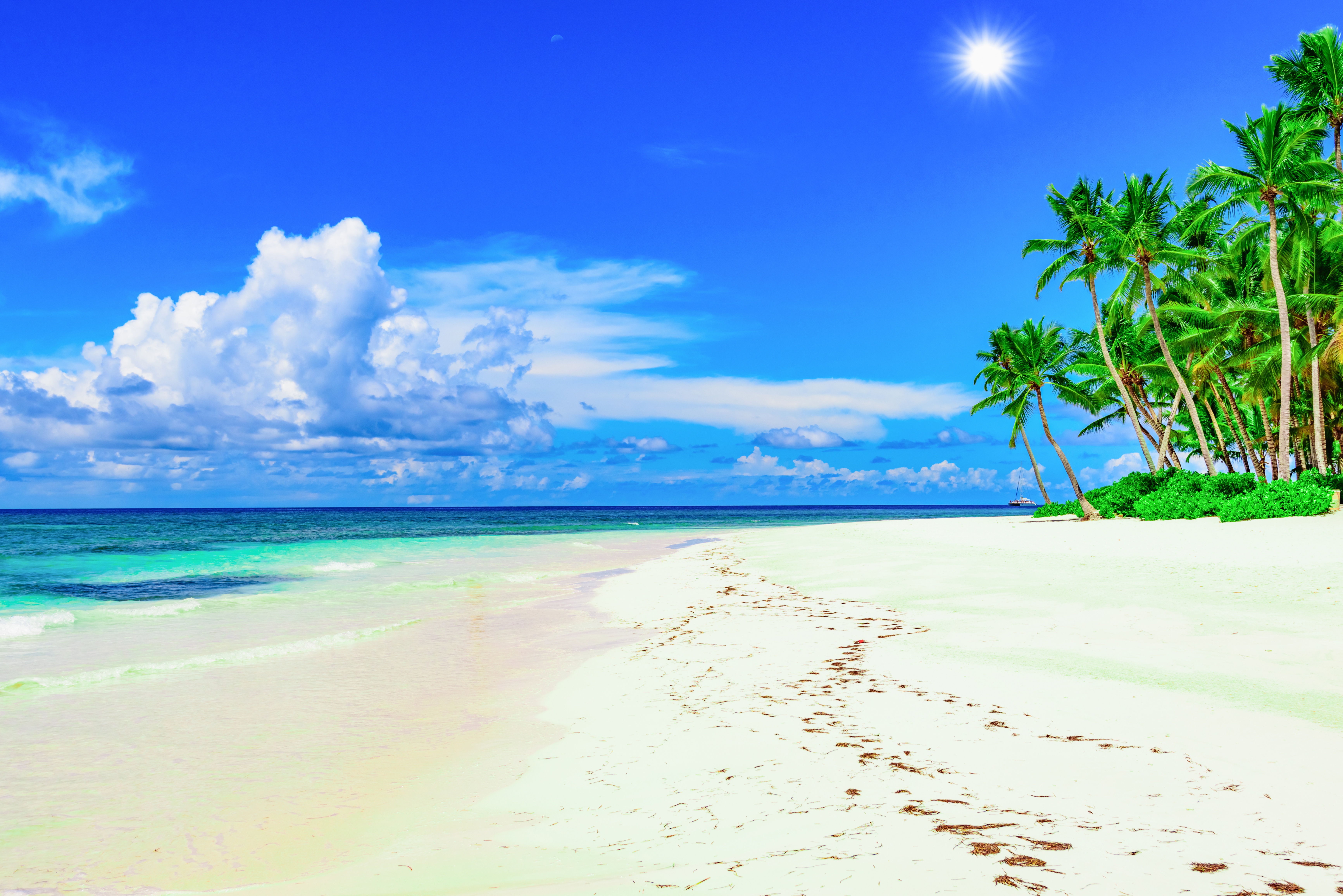 Descarga gratis la imagen Naturaleza, Cielo, Sol, Playa, Arena, Horizonte, Océano, Nube, Tierra/naturaleza, Palmera, Tropico en el escritorio de tu PC