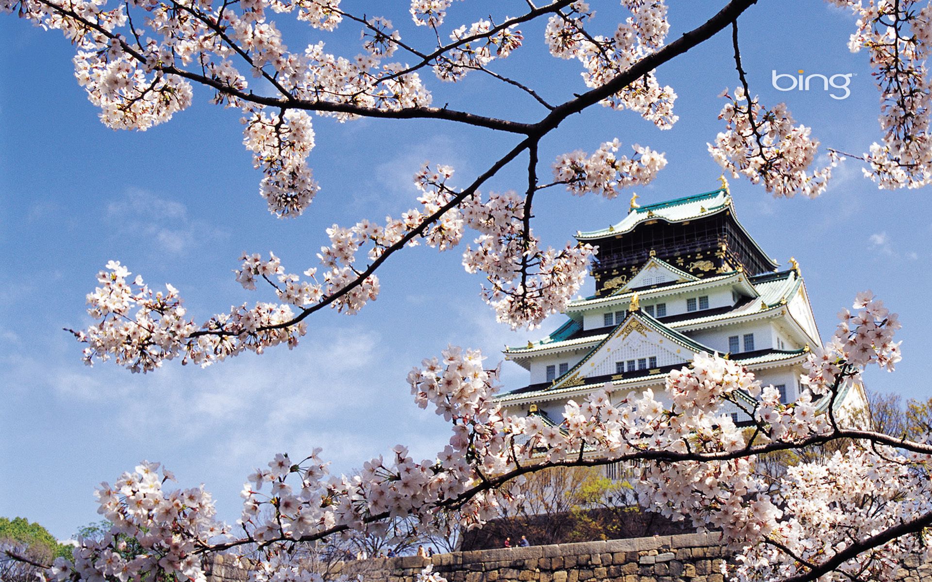 Скачать обои бесплатно Япония, Архитектура, Дворец, Природа, Сакура, Цветение, Весна картинка на рабочий стол ПК