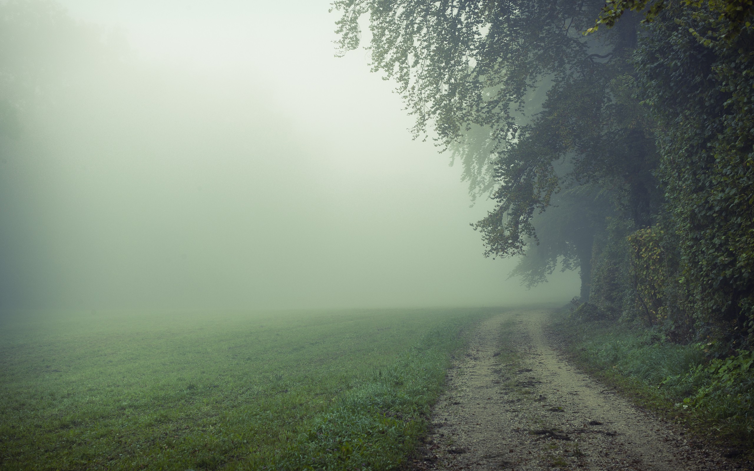 Free download wallpaper Road, Tree, Fog, Earth, Field on your PC desktop