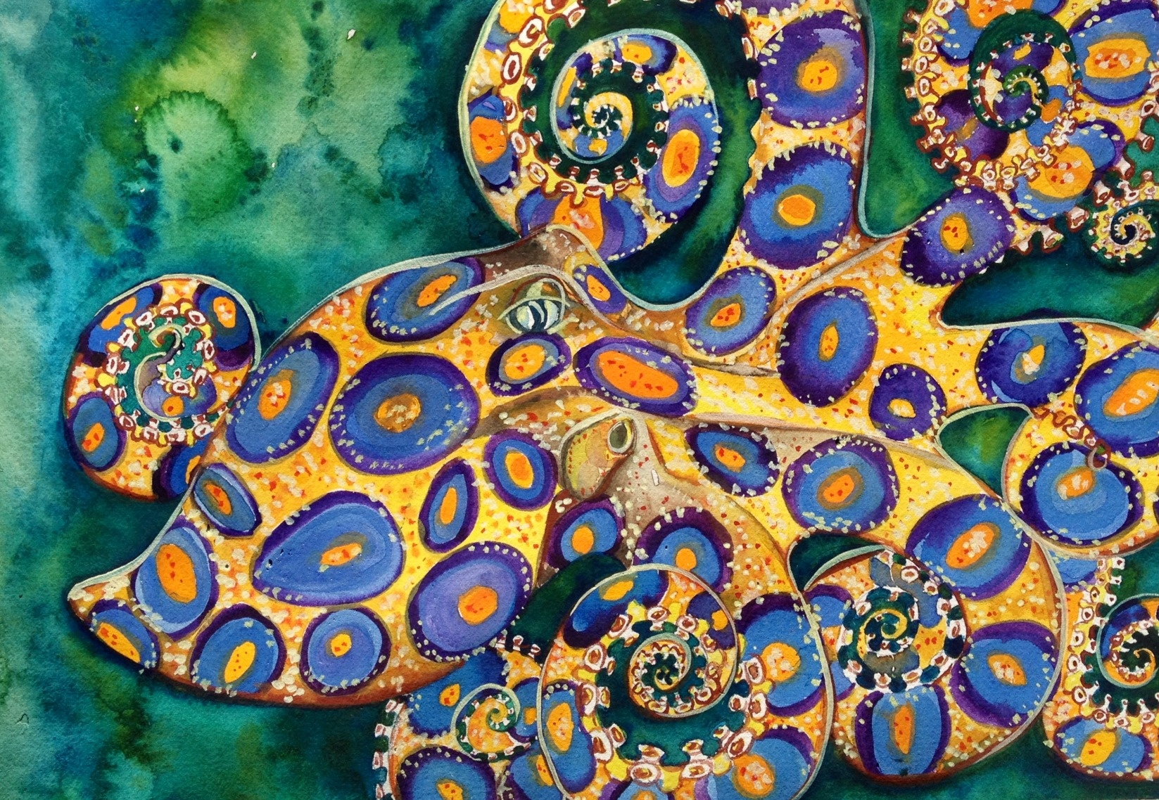 Free download wallpaper Octopus, Animal, Blue Ringed Octopus on your PC desktop