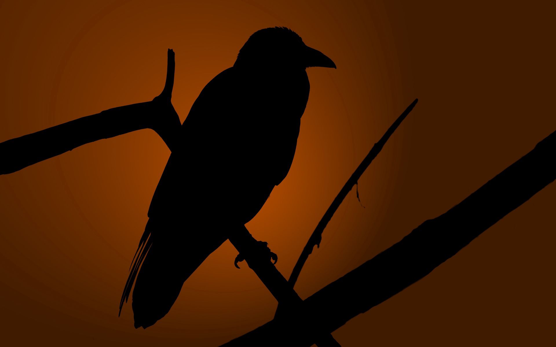 Baixe gratuitamente a imagem Escuro, Silhueta, Pássaro, Sombra, Raven, Corvo na área de trabalho do seu PC