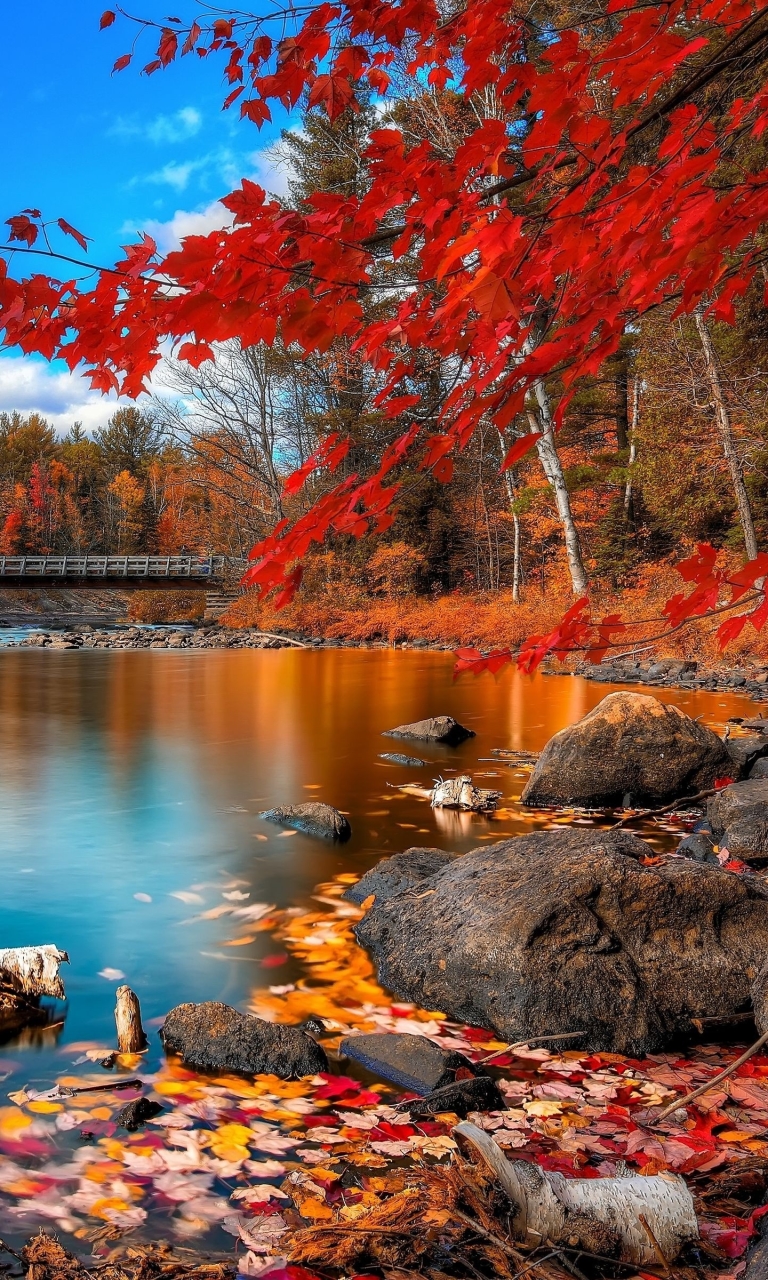 Descarga gratuita de fondo de pantalla para móvil de Naturaleza, Agua, Otoño, Lago, Árbol, Hoja, Puente, Tierra/naturaleza.