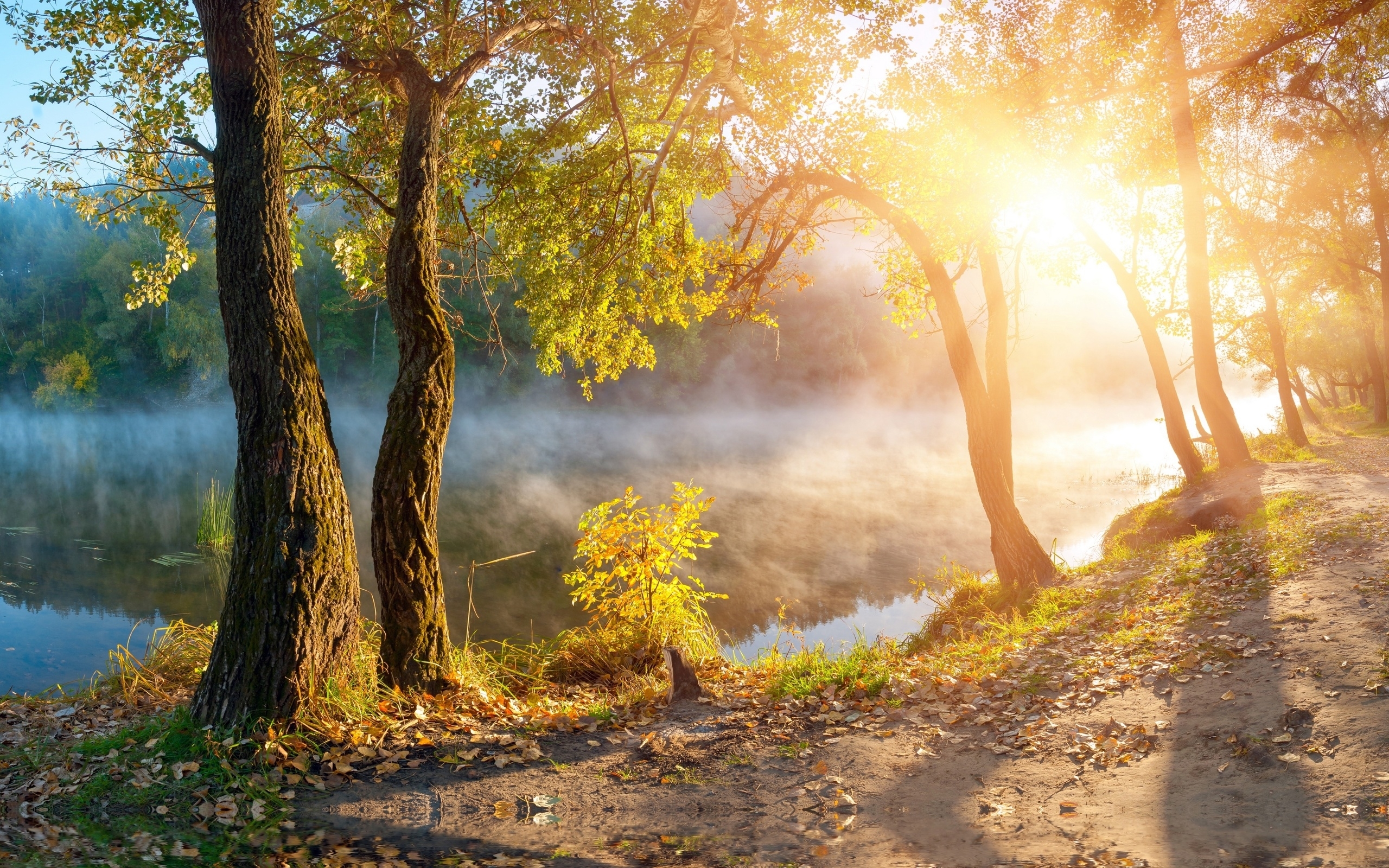 Free download wallpaper Nature, Reflection, Tree, Fog, Earth, River, Sunbeam on your PC desktop