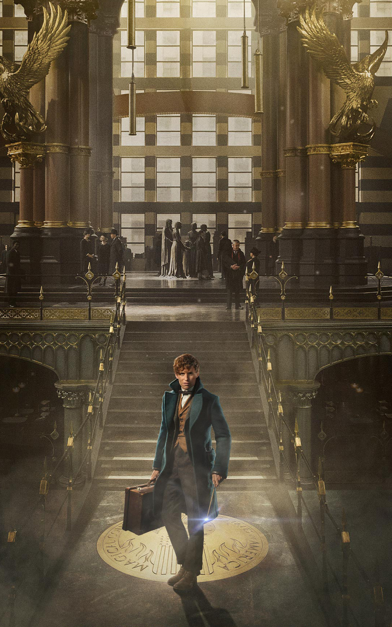 movie, fantastic beasts and where to find them, eddie redmayne, newt scamander, ministry of magic, fantastic beasts iphone wallpaper