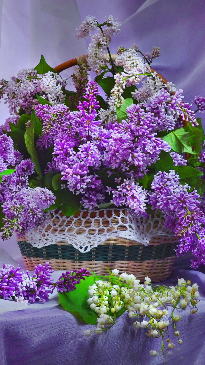 Download mobile wallpaper Lilac, Lily Of The Valley, Still Life, Vase, Basket, Photography, Purple Flower for free.