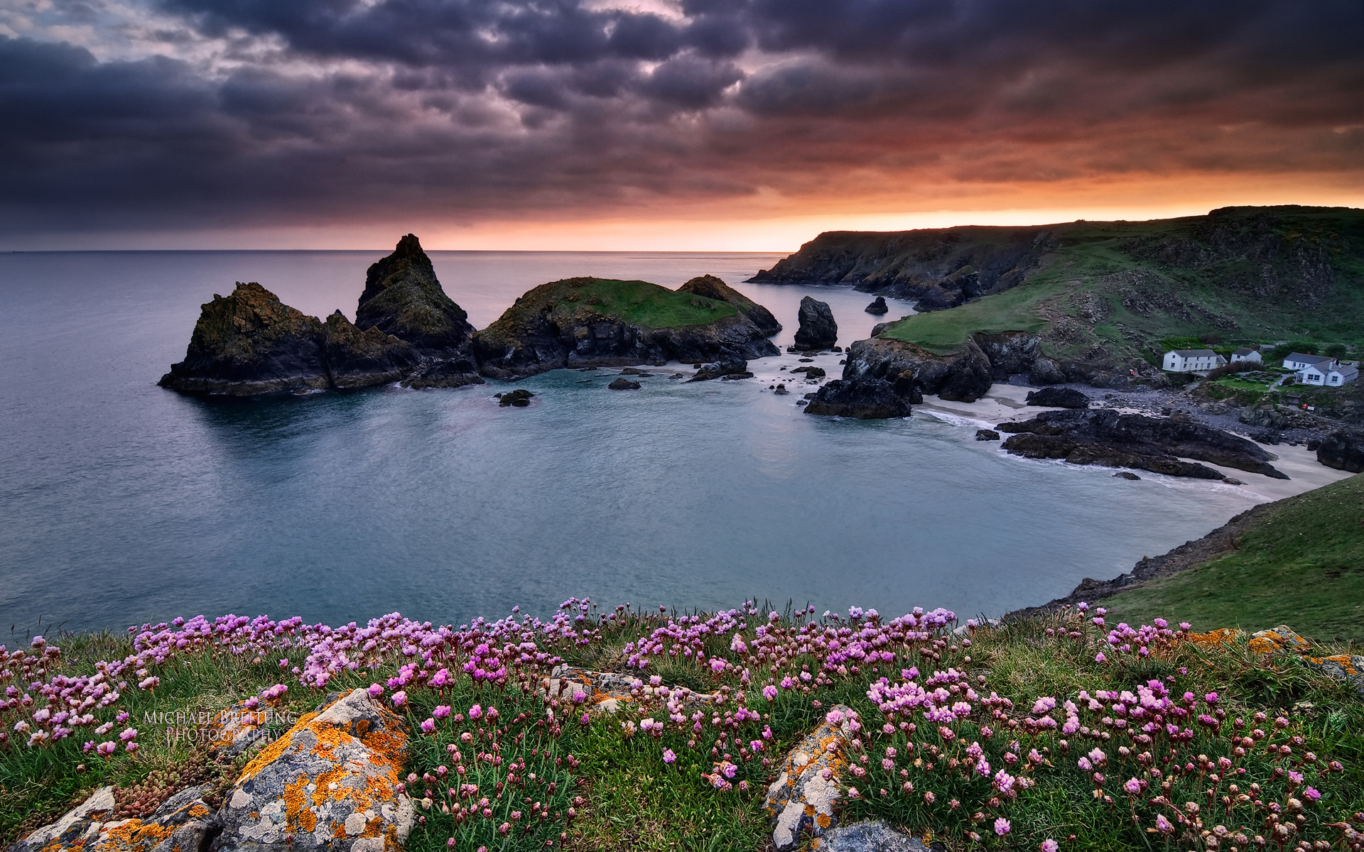 Descarga gratuita de fondo de pantalla para móvil de Horizonte, Flor, Costa, Atardecer, Tierra/naturaleza.