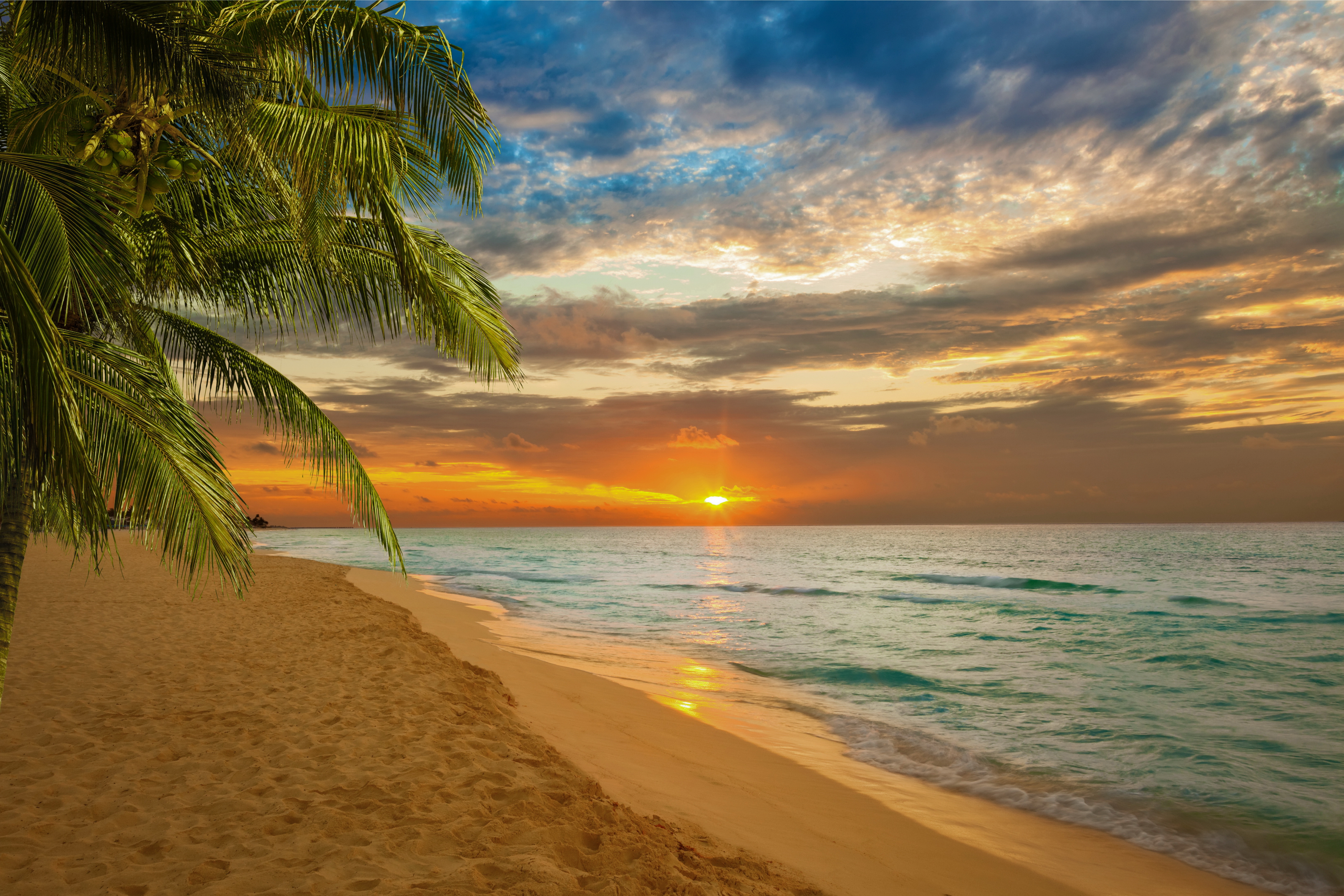 PCデスクトップに日没, 海, ビーチ, 地平線, 海洋, 地球, トロピカル画像を無料でダウンロード