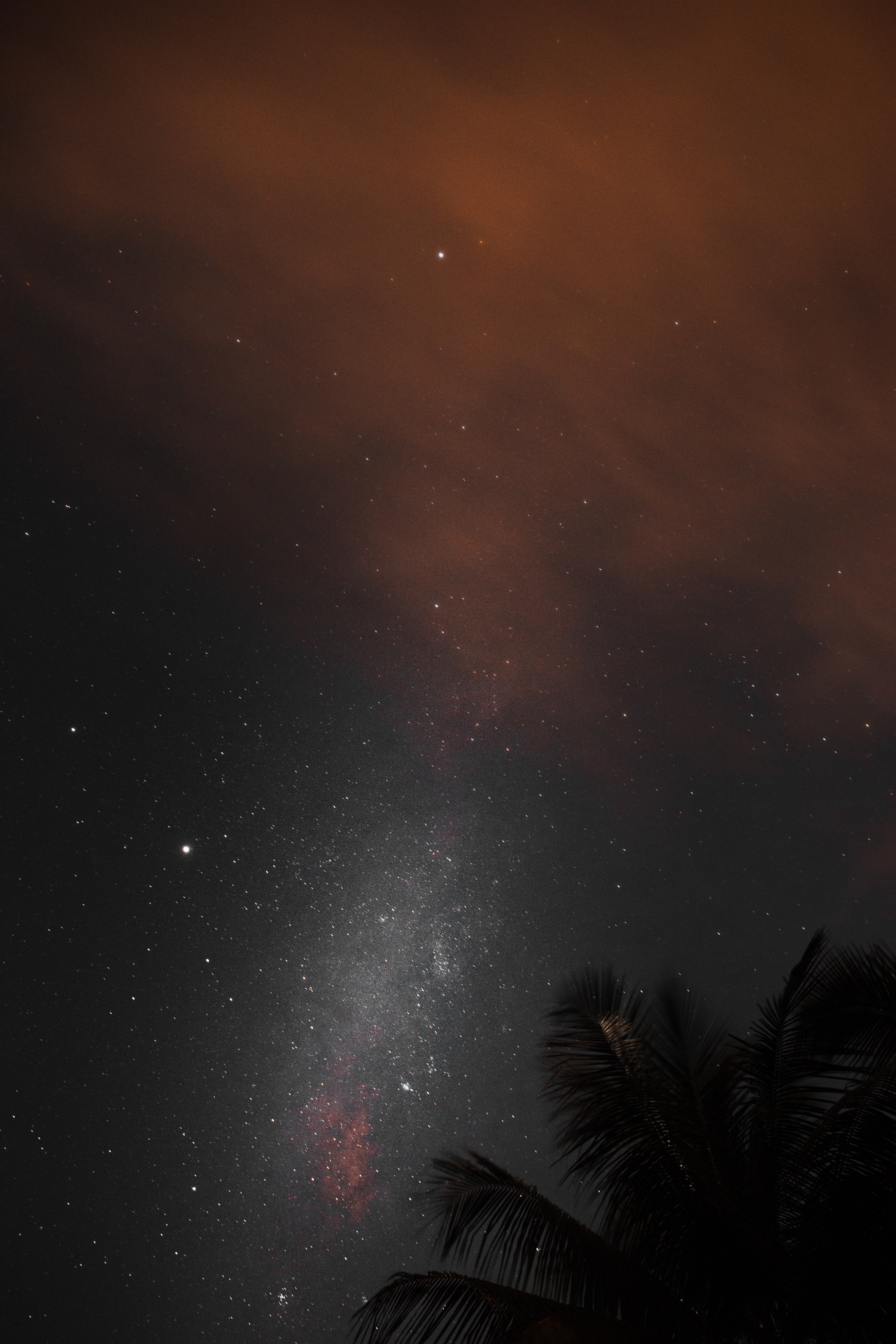 Download mobile wallpaper Palm, Stars, Nature, Starry Sky, Nebula, Night for free.