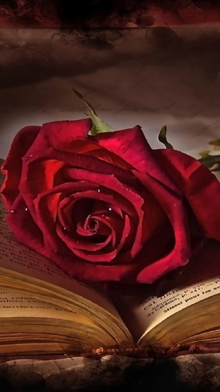 Скачать картинку Любовь, Роза, Бабочка, Книга, Фотографии, Красная Роза, День Святого Валентина в телефон бесплатно.