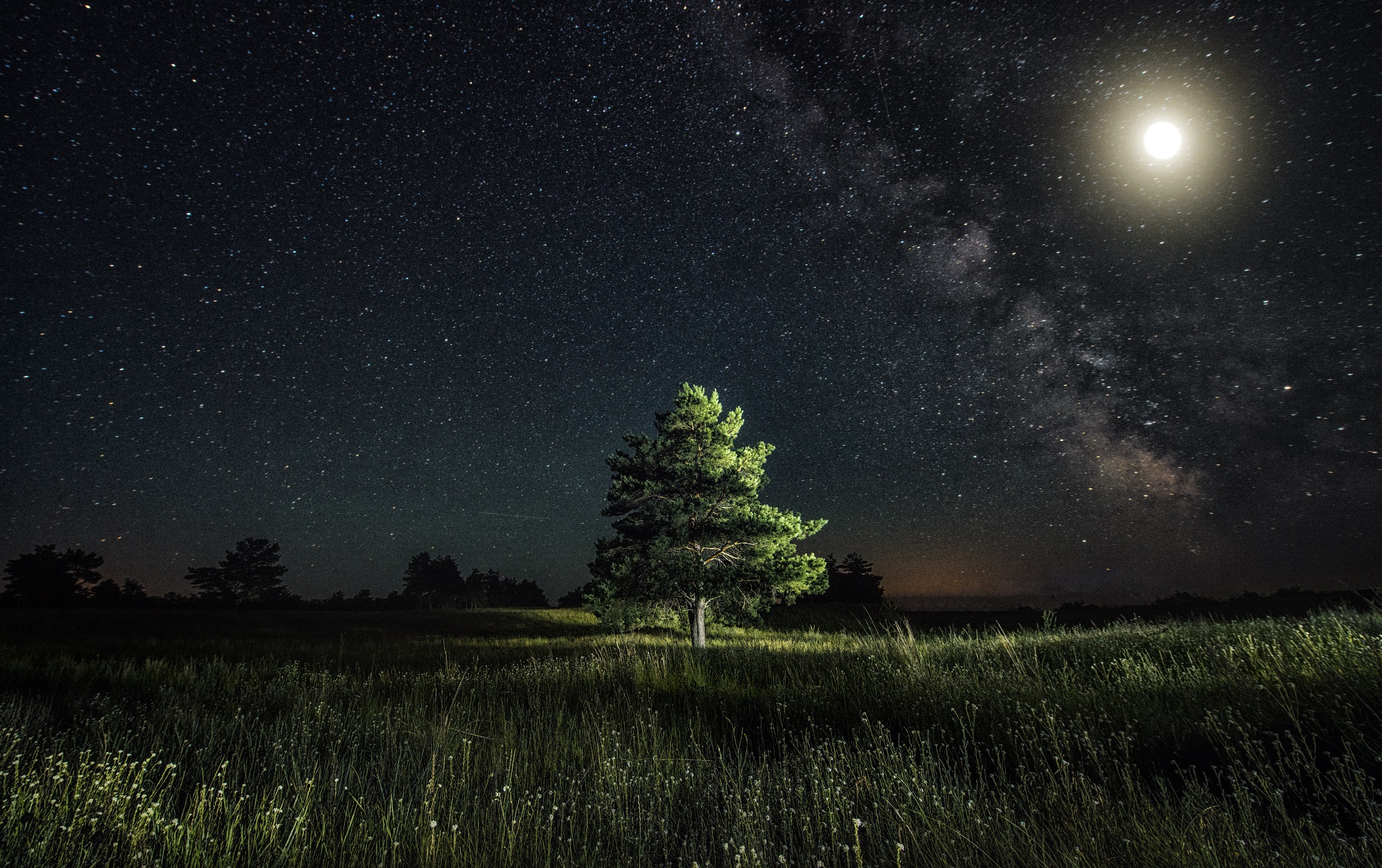 Laden Sie das Sterne, Baum, Nacht, Erde/natur, Sternenklarer Himmel-Bild kostenlos auf Ihren PC-Desktop herunter