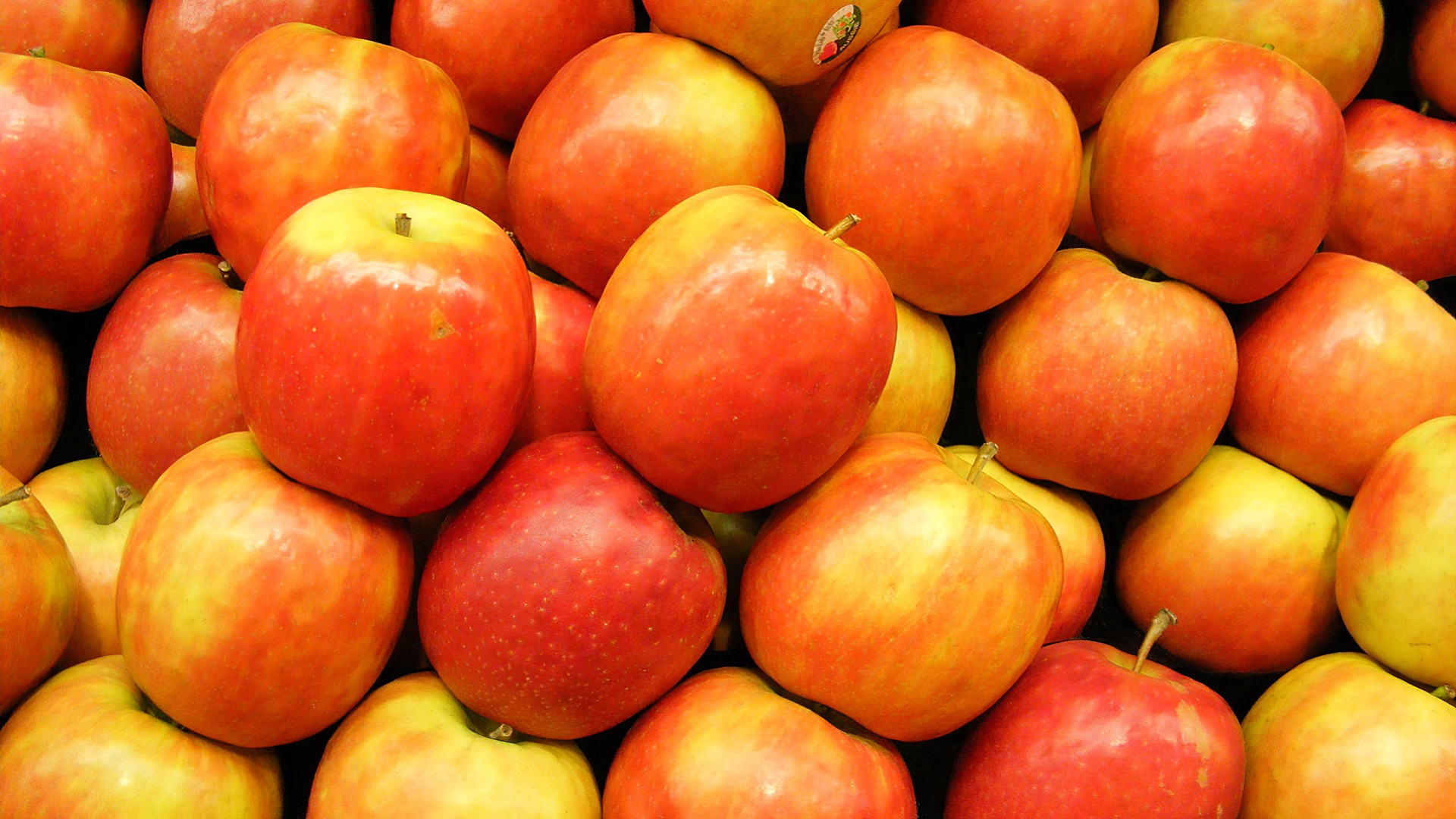 284106 descargar fondo de pantalla manzana, alimento, fruta, frutas: protectores de pantalla e imágenes gratis