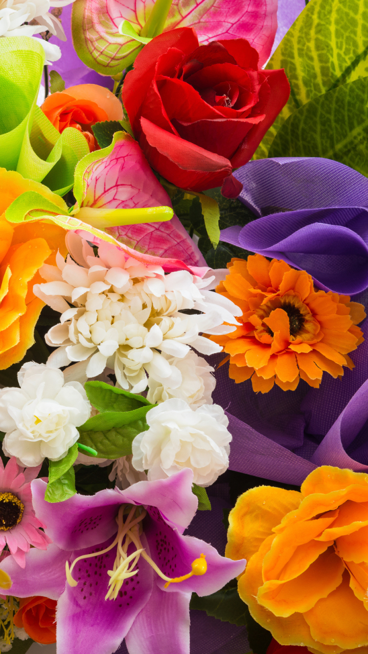 Descarga gratuita de fondo de pantalla para móvil de Flores, Flor, Tierra/naturaleza.