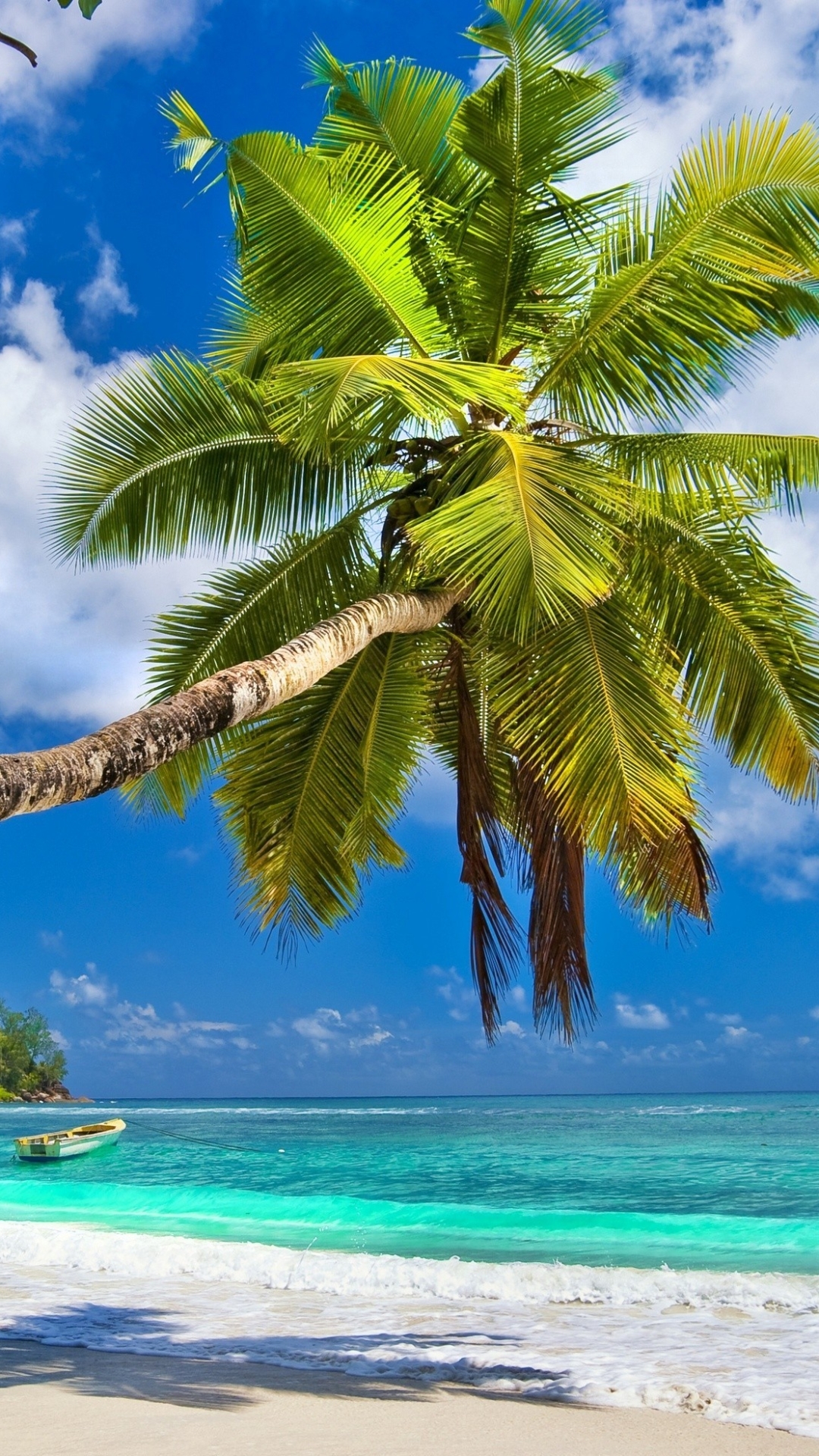 Download mobile wallpaper Beach, Sand, Earth, Tropics, Palm Tree for free.