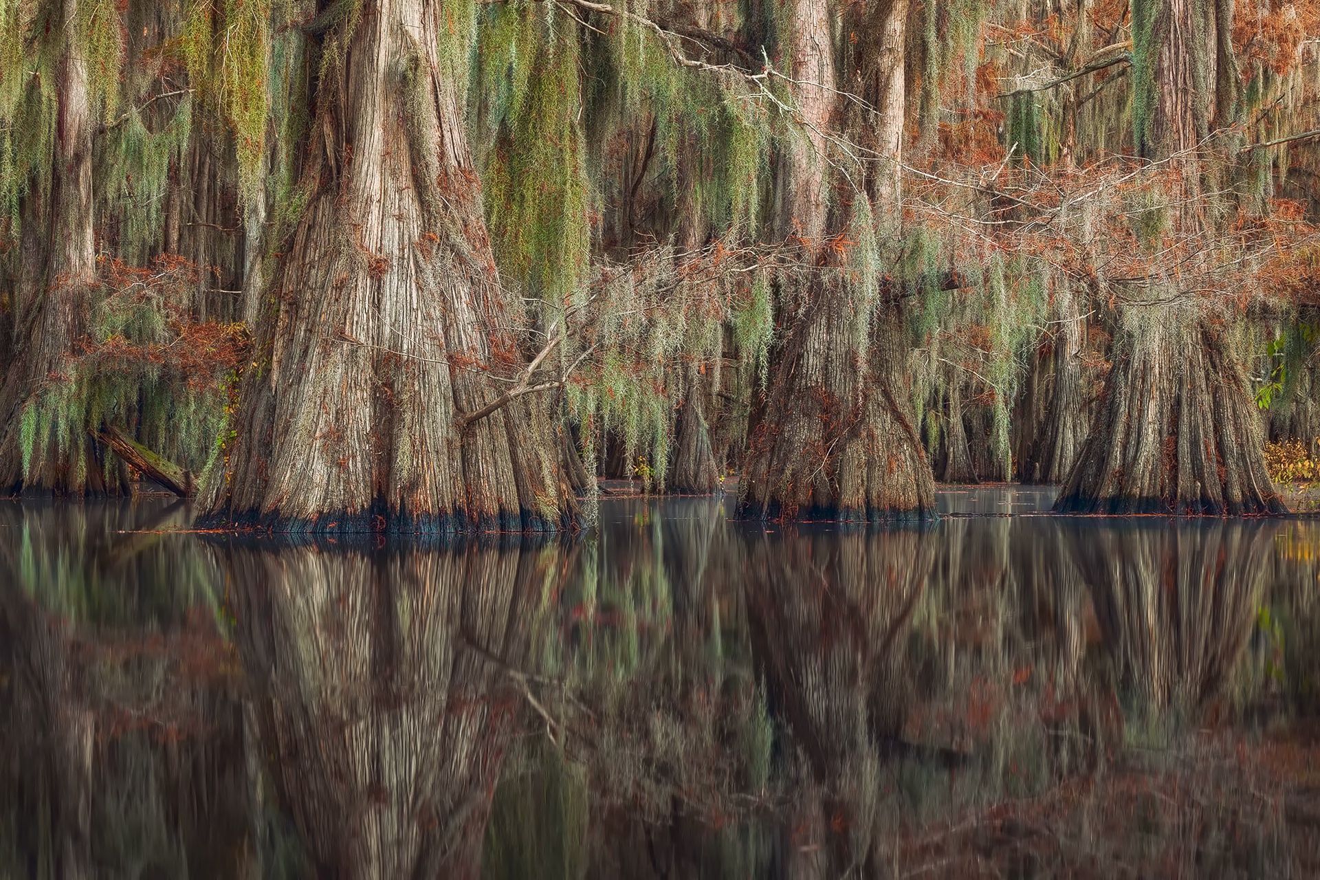 Free download wallpaper Nature, Swamp, Reflection, Tree, Earth on your PC desktop