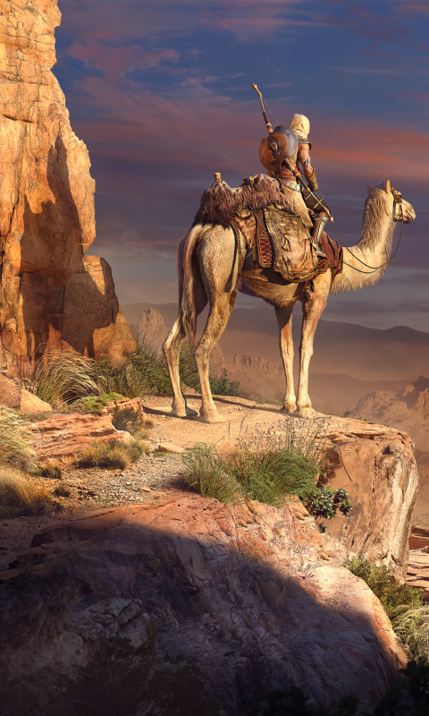 Скачать картинку Пустыня, Египет, Пирамида, Видеоигры, Кредо Ассасина, Assassin's Creed: Истоки, Байек Сива в телефон бесплатно.