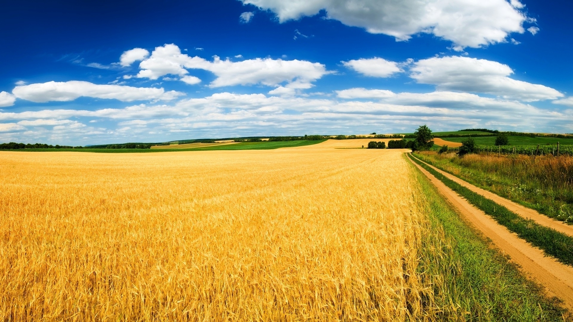 Download mobile wallpaper Landscape, Nature, Wheat, Earth, Field for free.