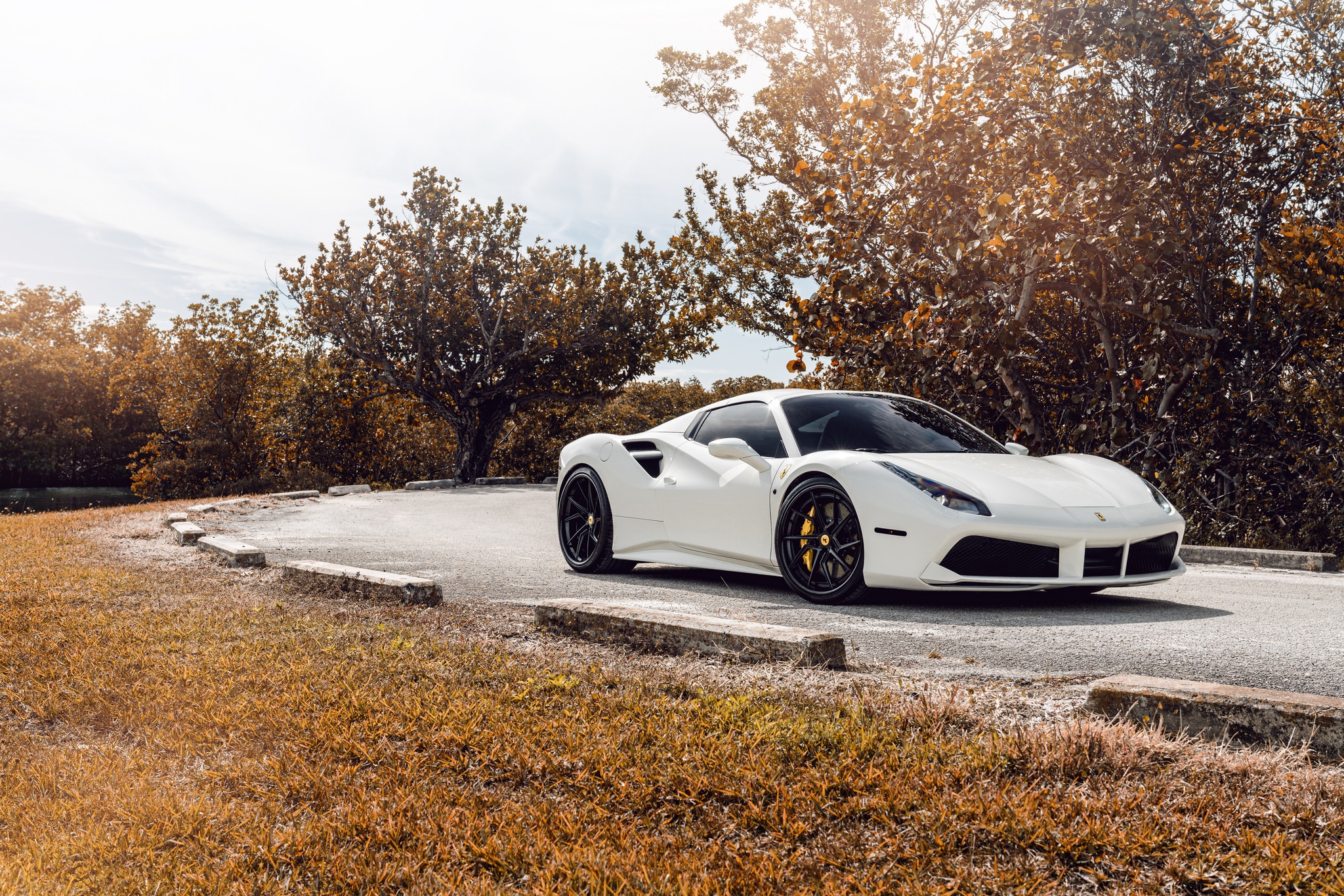 Download mobile wallpaper Ferrari, Car, Supercar, Vehicles, White Car, Ferrari 488 for free.