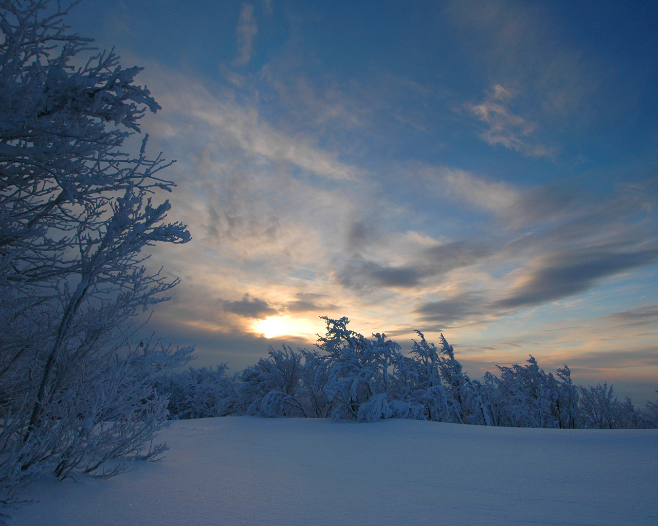 Скачать обои бесплатно Зима, Солнце, Земля/природа картинка на рабочий стол ПК