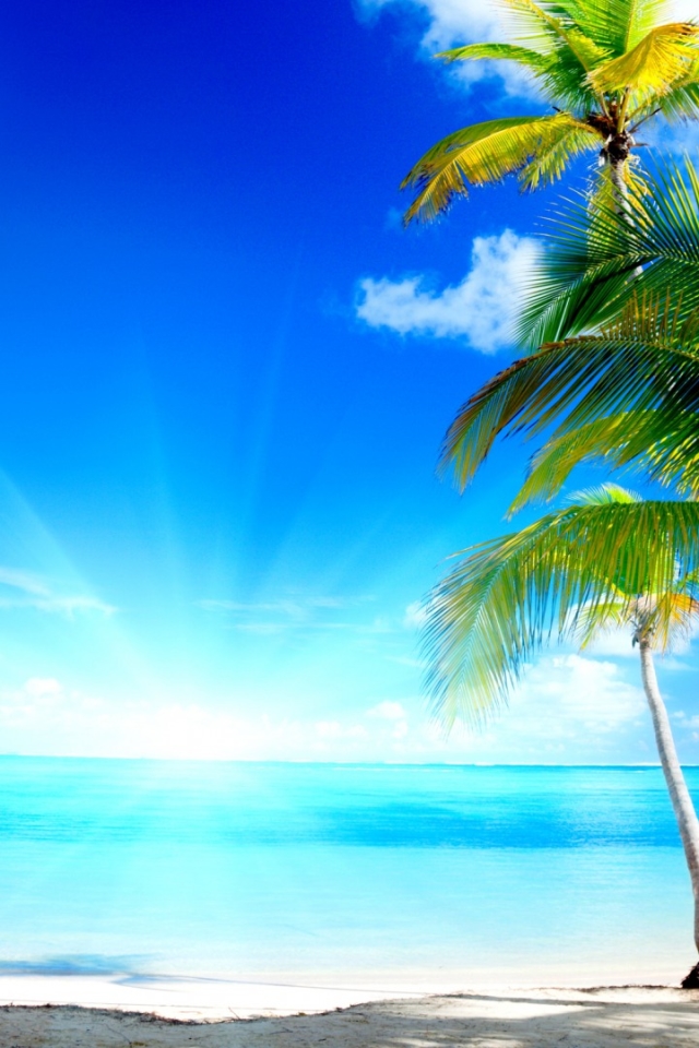 Descarga gratuita de fondo de pantalla para móvil de Mar, Playa, Tropical, Tierra/naturaleza, Tropico.