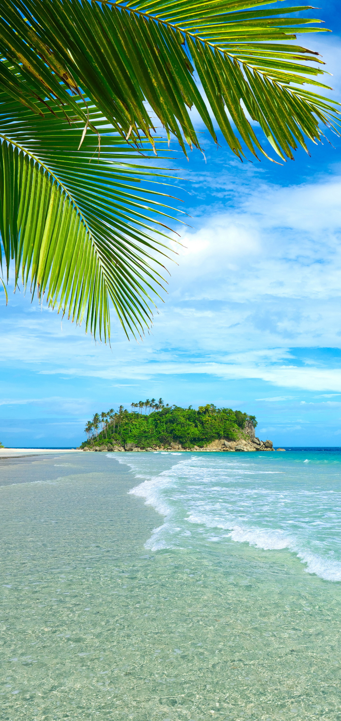 Descarga gratuita de fondo de pantalla para móvil de Mar, Playa, Horizonte, Océano, Tropical, Tierra/naturaleza, Palmera, Tropico.