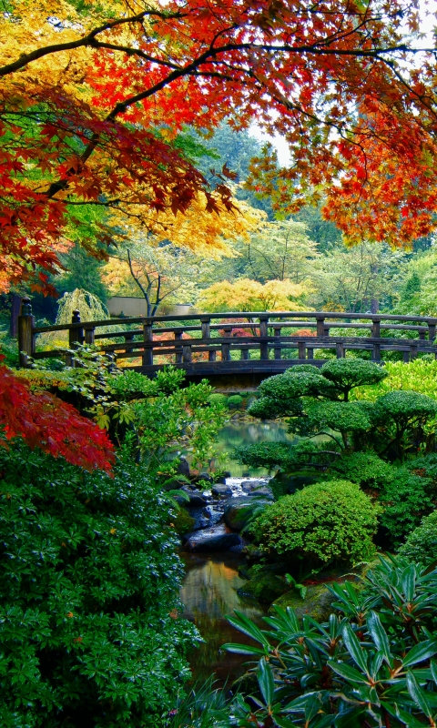 Baixar papel de parede para celular de Outono, Árvore, Cair, Ponte, Jardim, Feito Pelo Homem, Jardim Japonês gratuito.