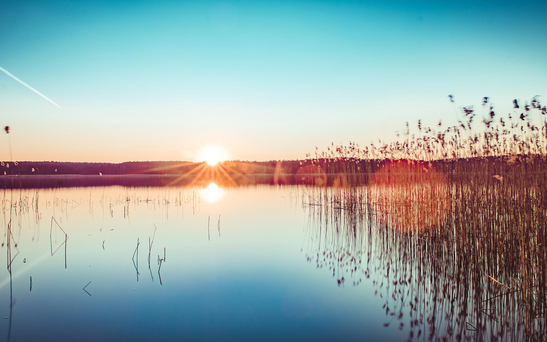 Laden Sie das Seen, Horizont, See, Sonnenstrahl, Erde/natur, Planze-Bild kostenlos auf Ihren PC-Desktop herunter