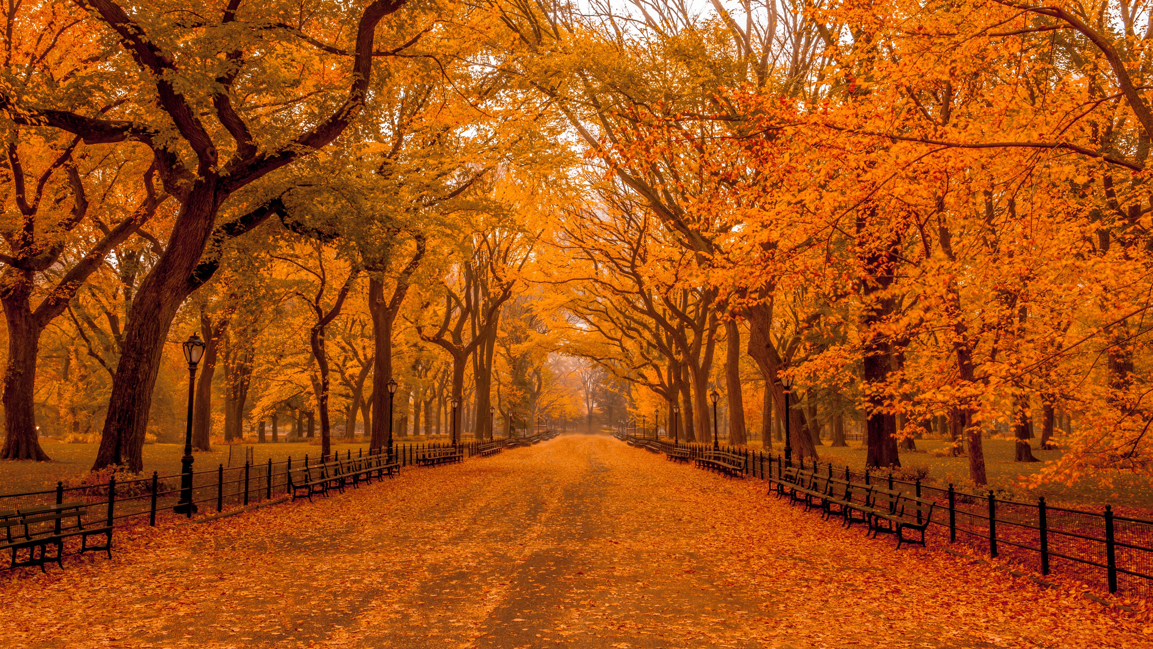 1065675 скачать картинку осень, парк, сделано человеком, центральный парк, нью йорк - обои и заставки бесплатно