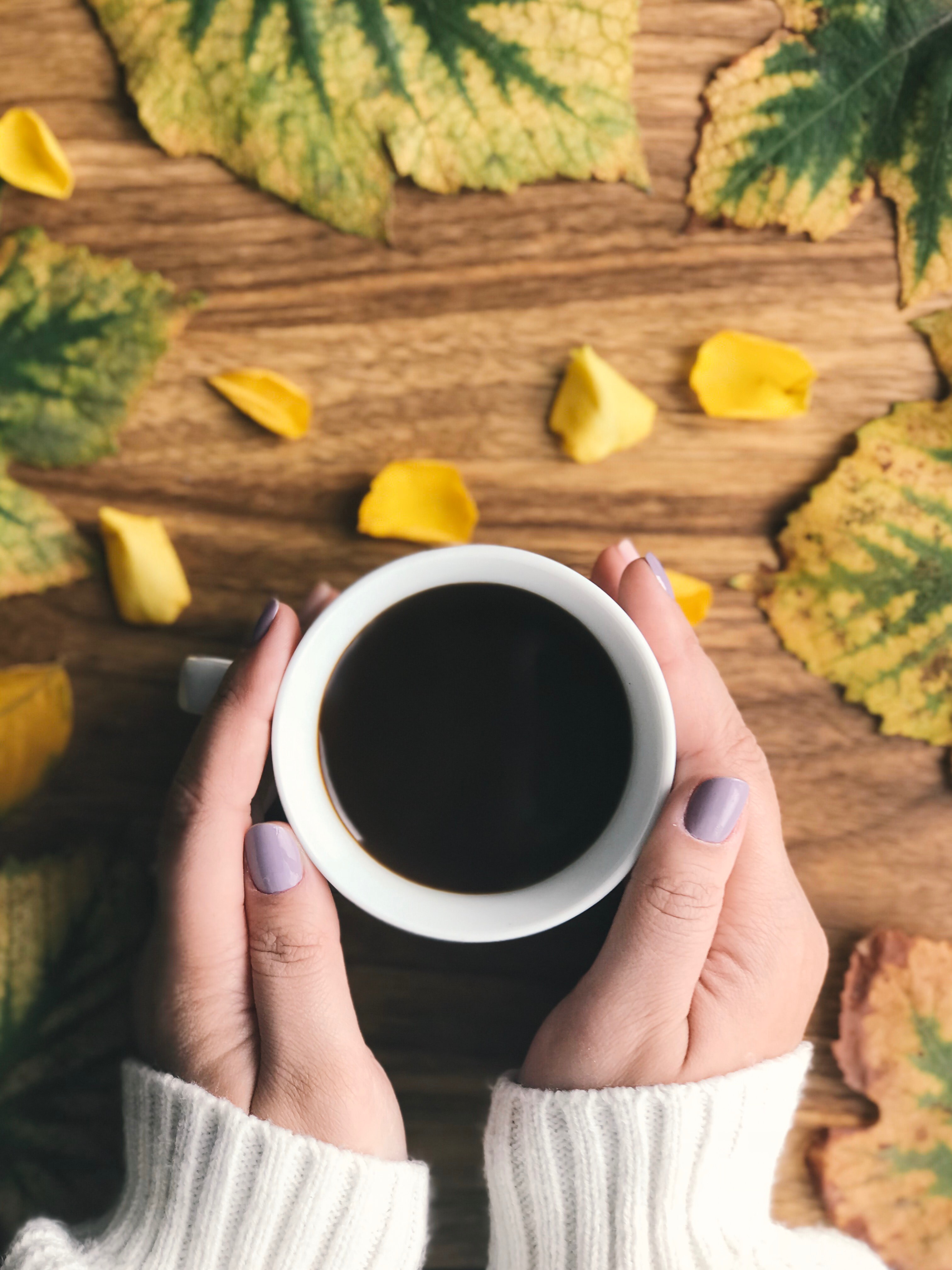 Free download wallpaper Food, Hands, Cup, Coffee, Leaves on your PC desktop