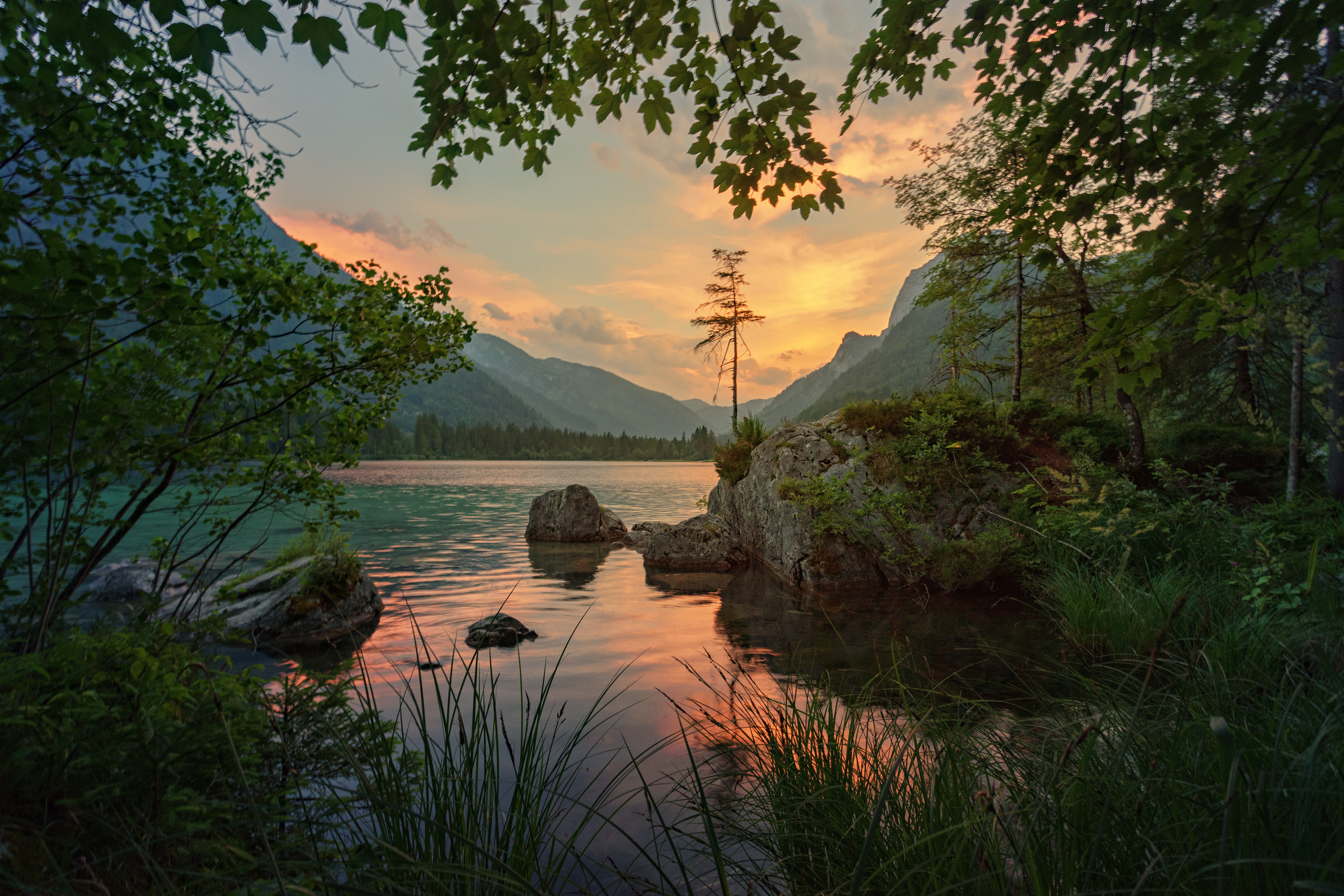 Laden Sie das Bäume, Stones, Natur, Mountains, Flüsse-Bild kostenlos auf Ihren PC-Desktop herunter