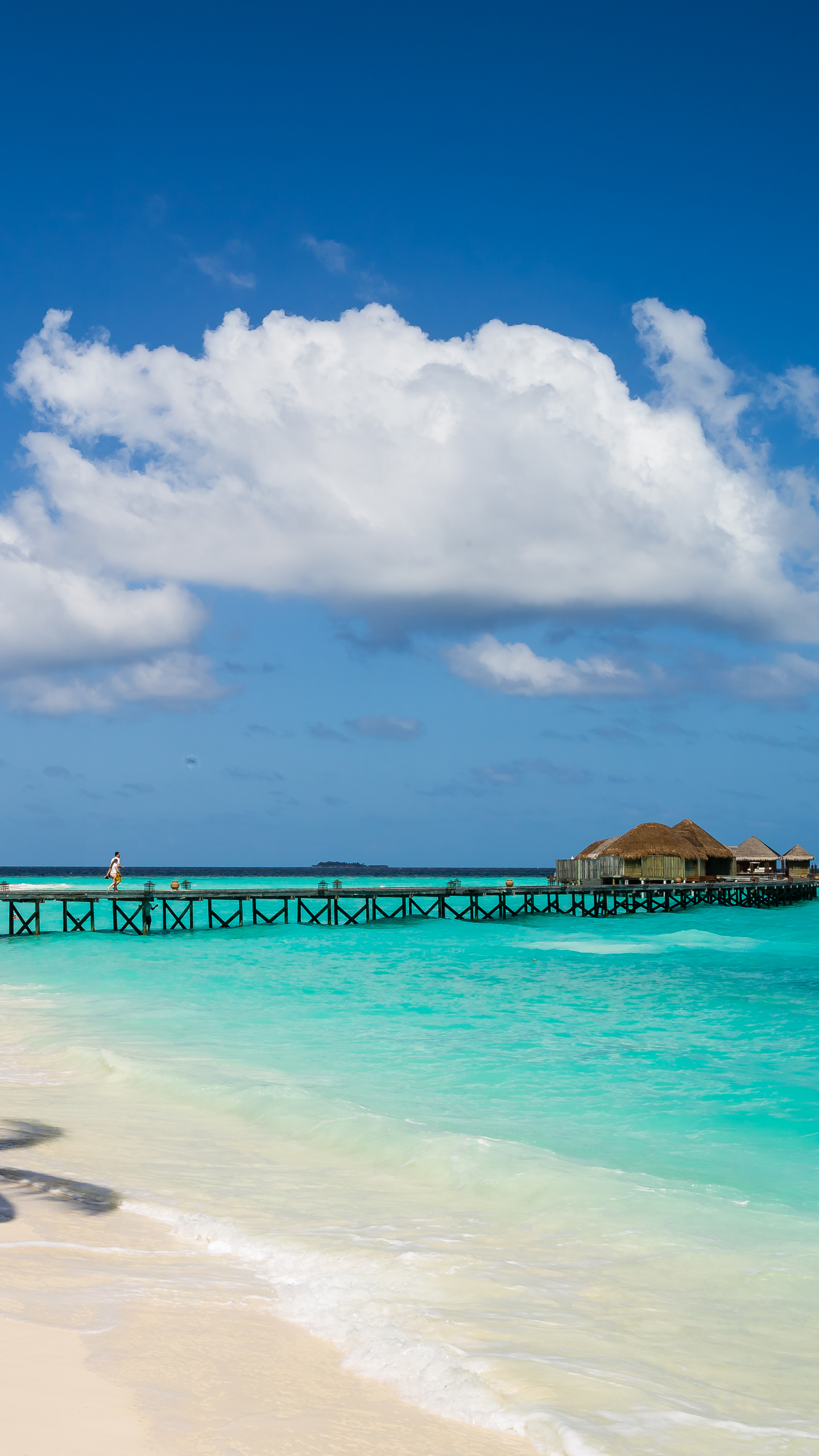 Download mobile wallpaper Sea, Beach, Pier, Holiday, Tropics, Lagoon, Resort, Photography, Maldives, Palm Tree, Constance Halaveli Resort for free.