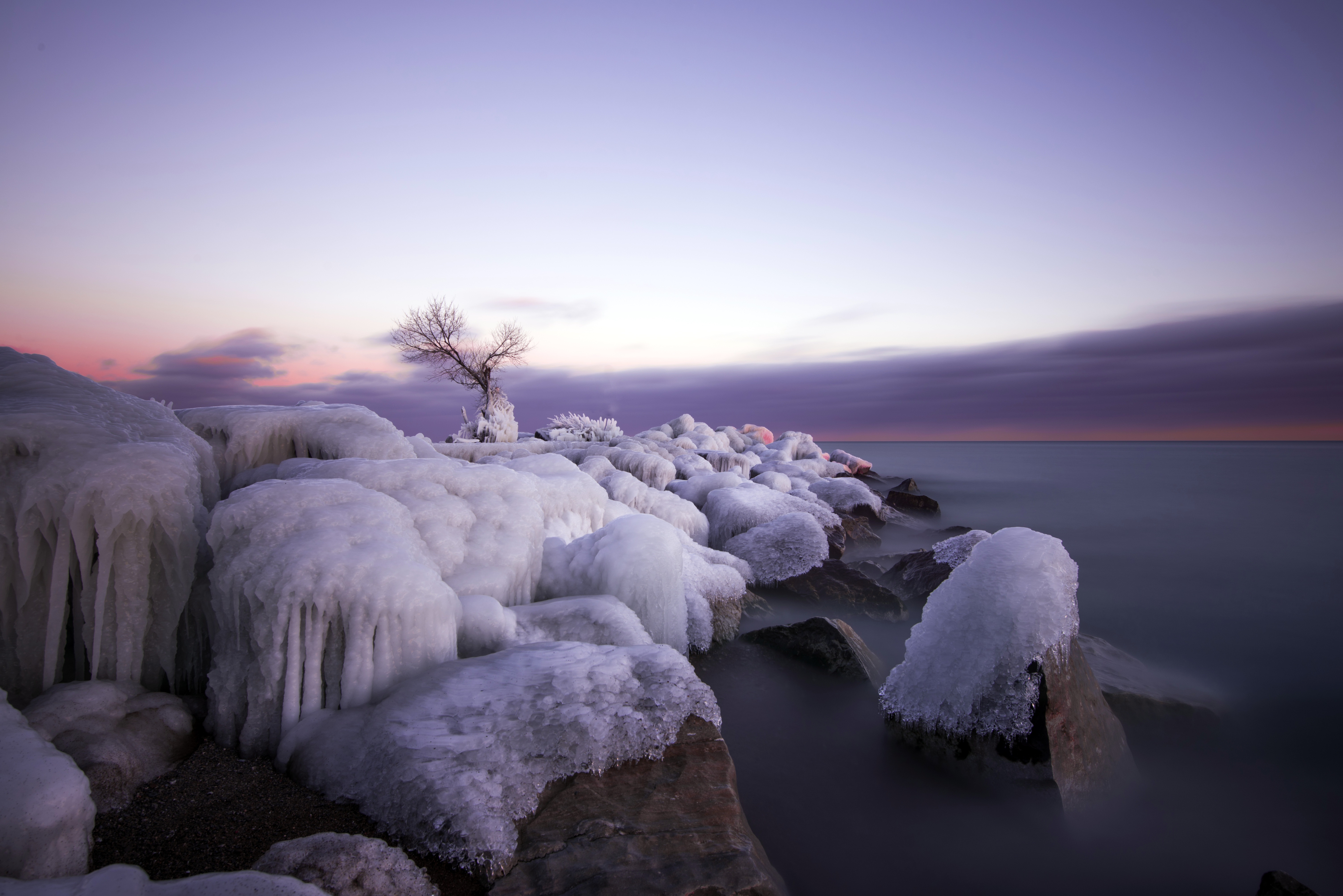 Скачать обои бесплатно Зима, Природа, Океан, Лёд, Земля/природа, Одинокое Дерево картинка на рабочий стол ПК