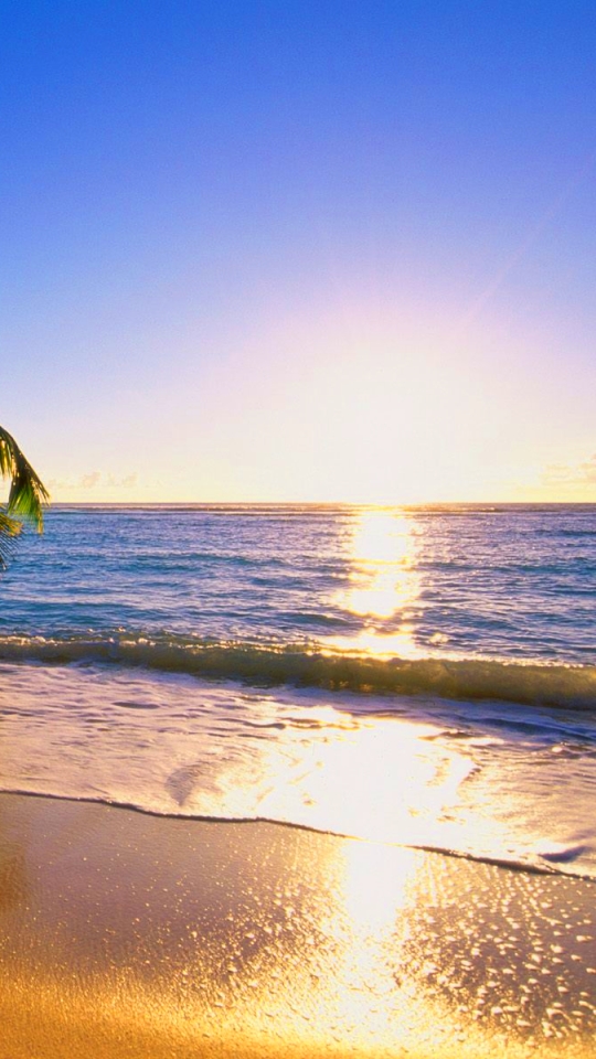 Descarga gratuita de fondo de pantalla para móvil de Playa, Océano, Tierra, Atardecer, Tierra/naturaleza, Puesta De Sol.