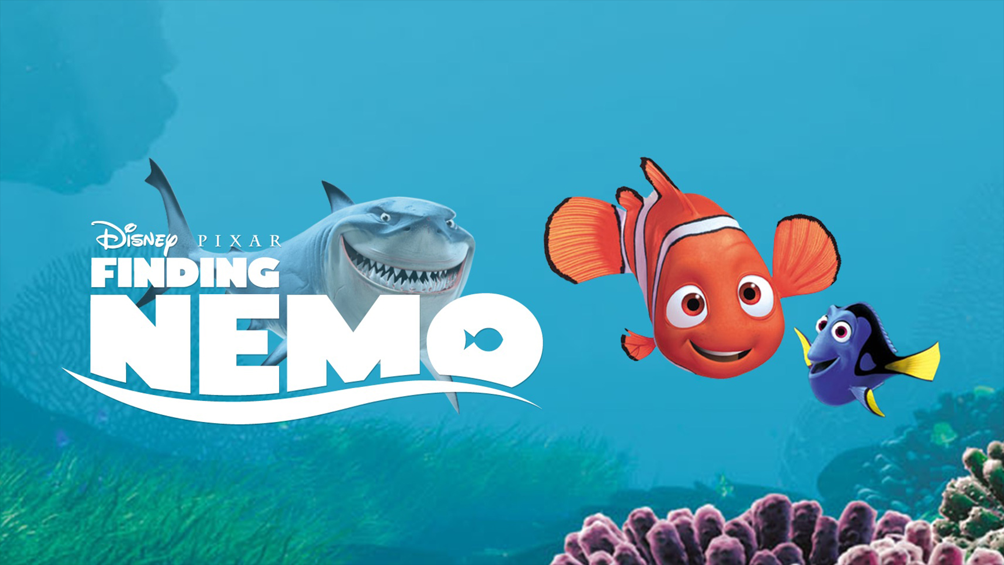 Baixar papel de parede para celular de Filme, Dory (Procurando Nemo), Procurando Nemo, Bruce (Procurando Nemo), Nemo (Procurando Nemo) gratuito.